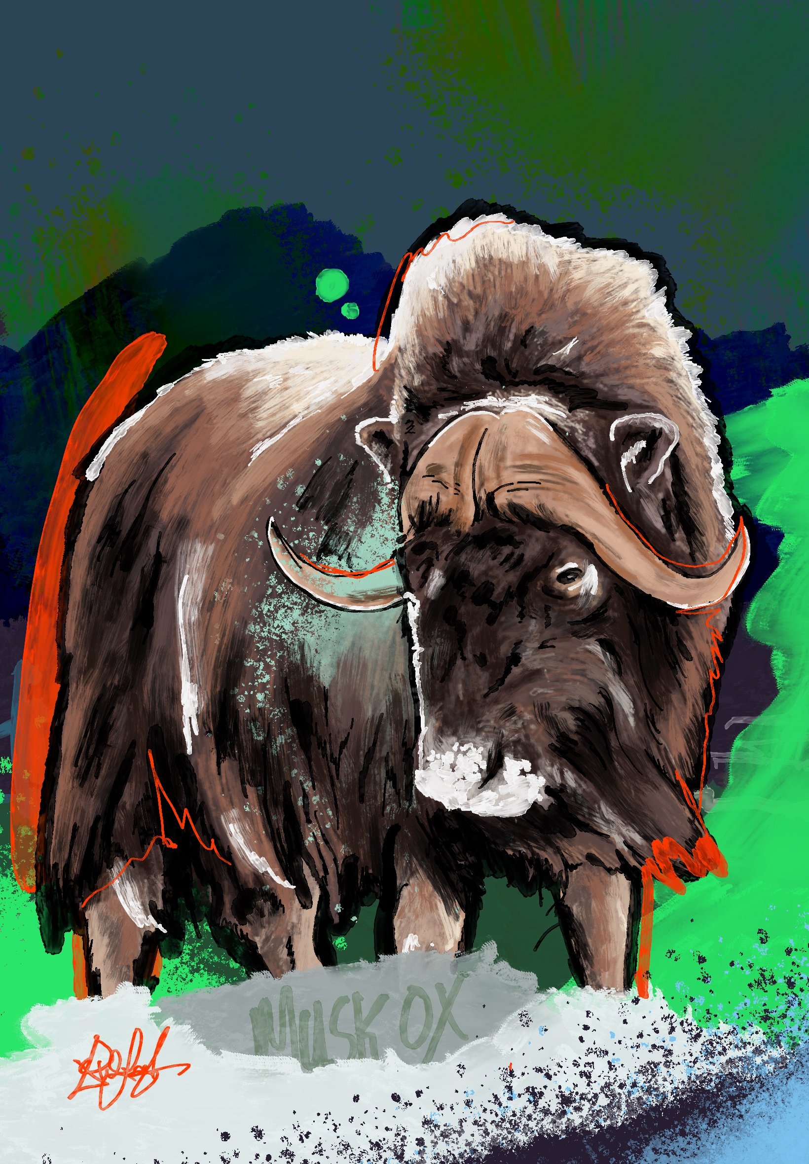 Musk Ox