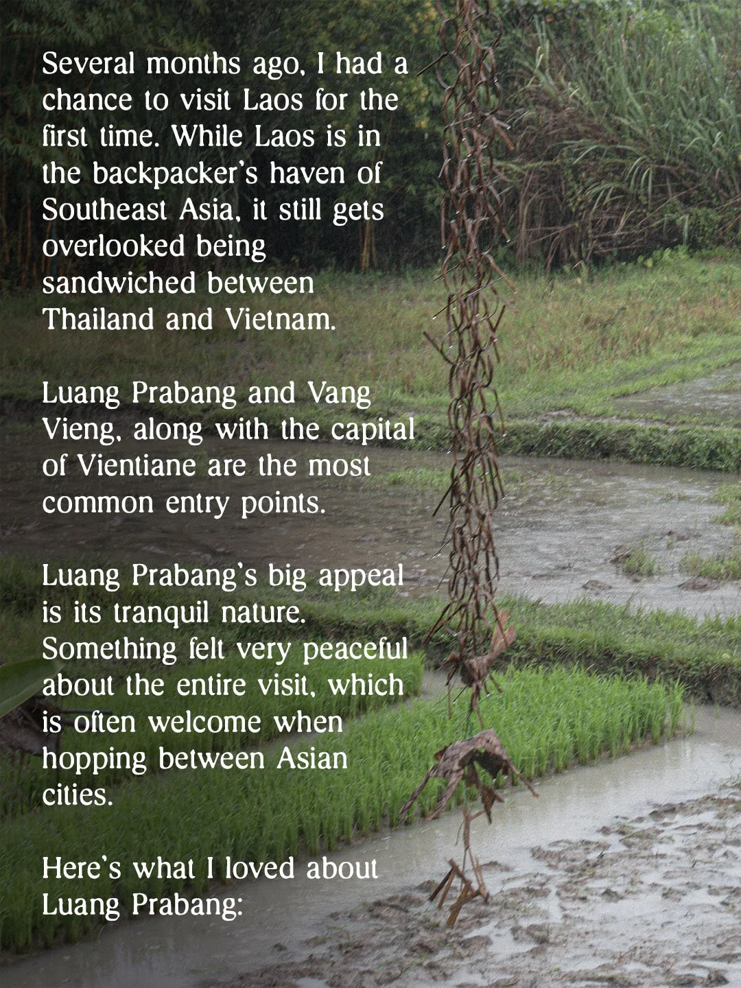Luang Prabang Post 2.jpg