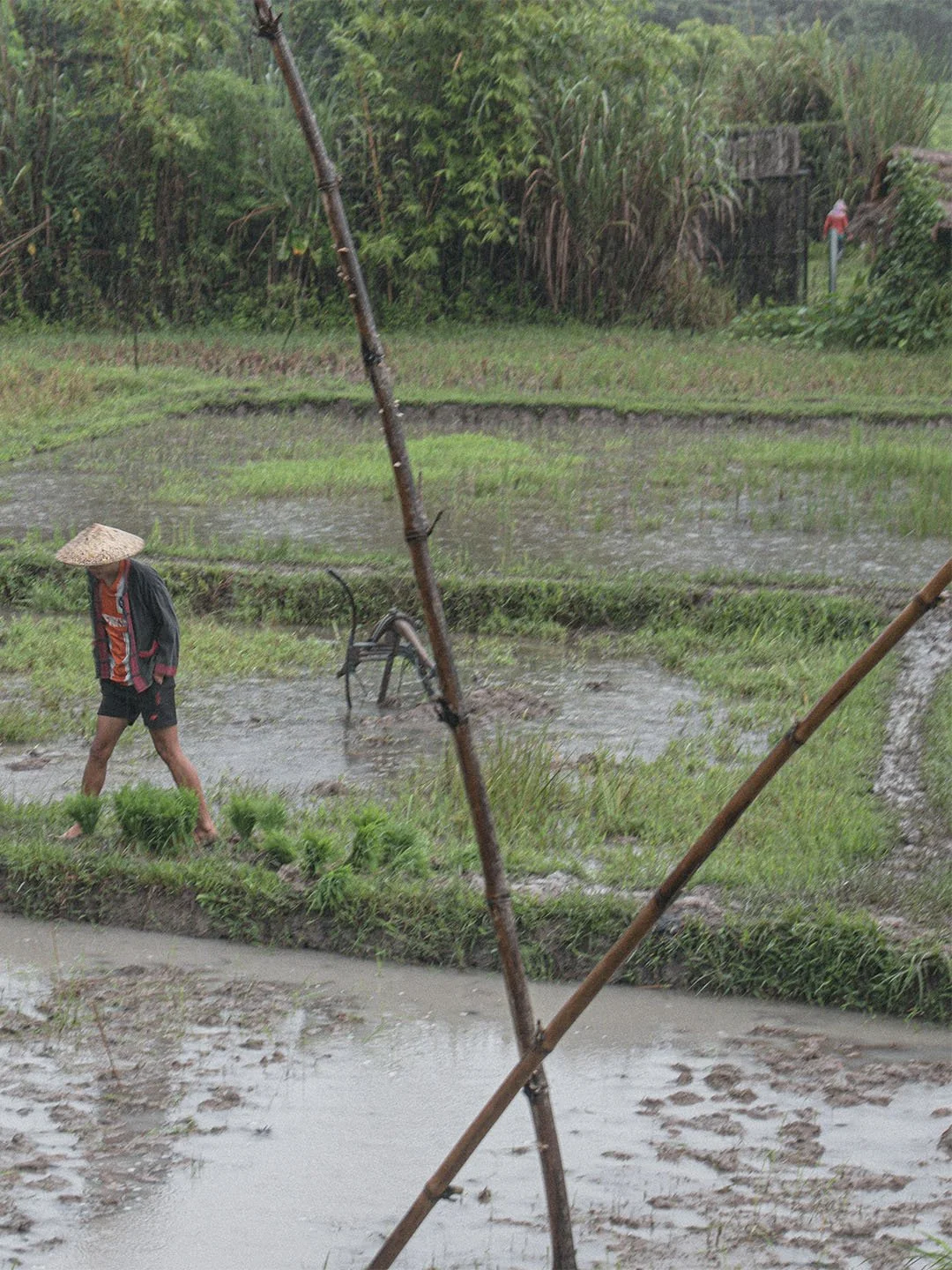 Luang Prabang Post 3.jpg
