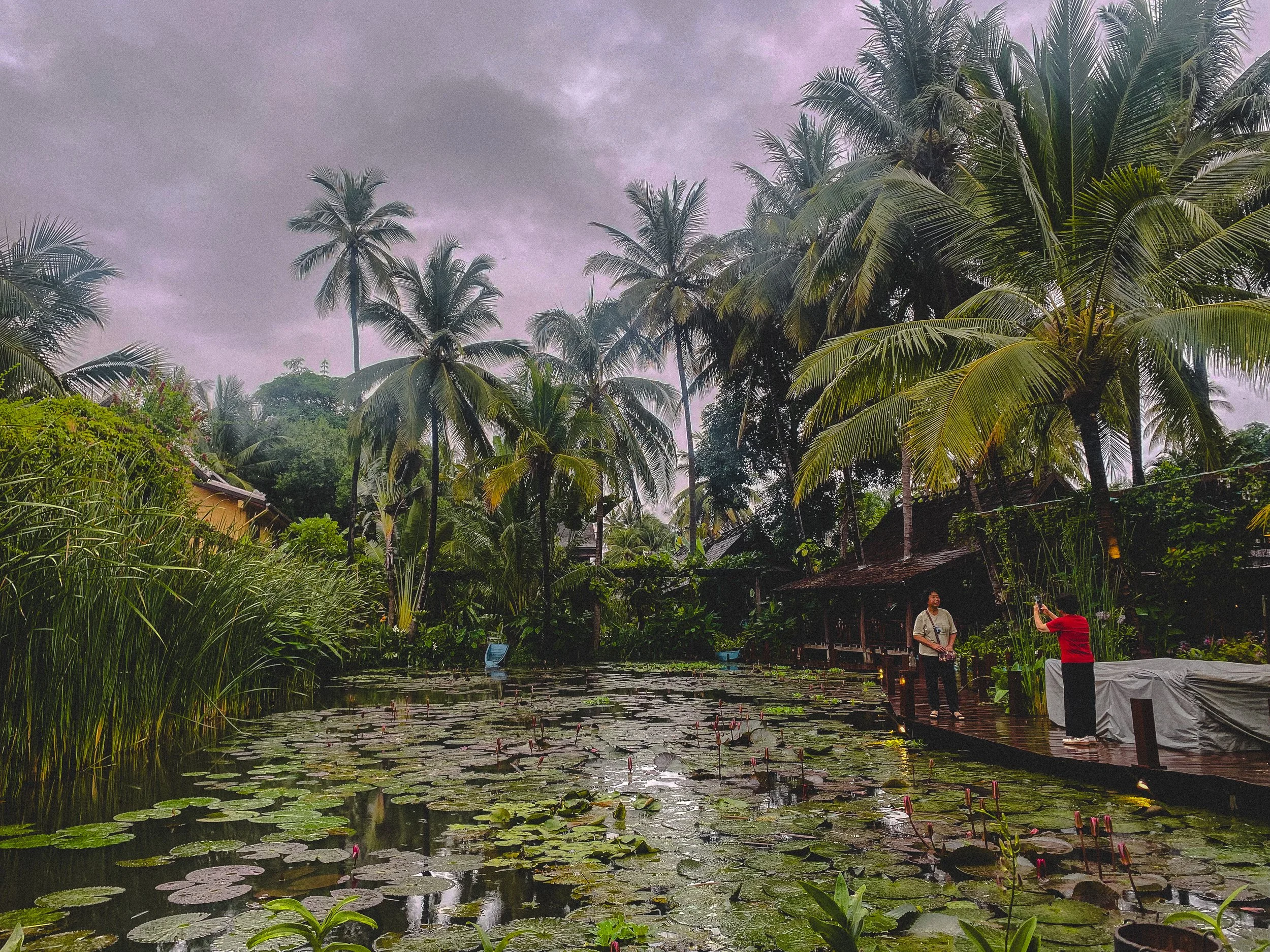 Thanks, Luang Prabang!