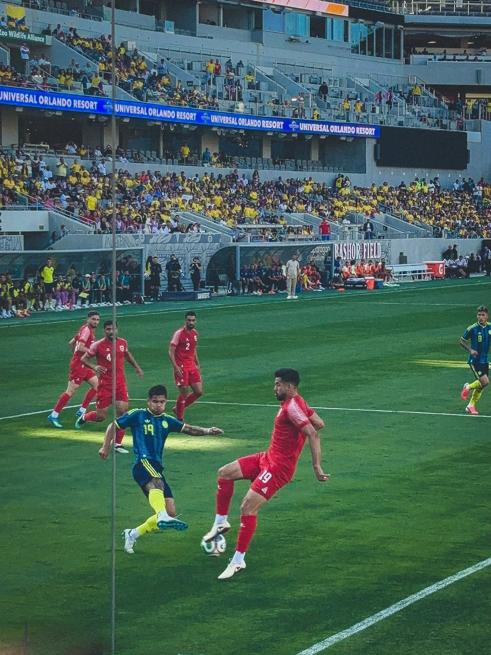 The World Cup Sleepover
