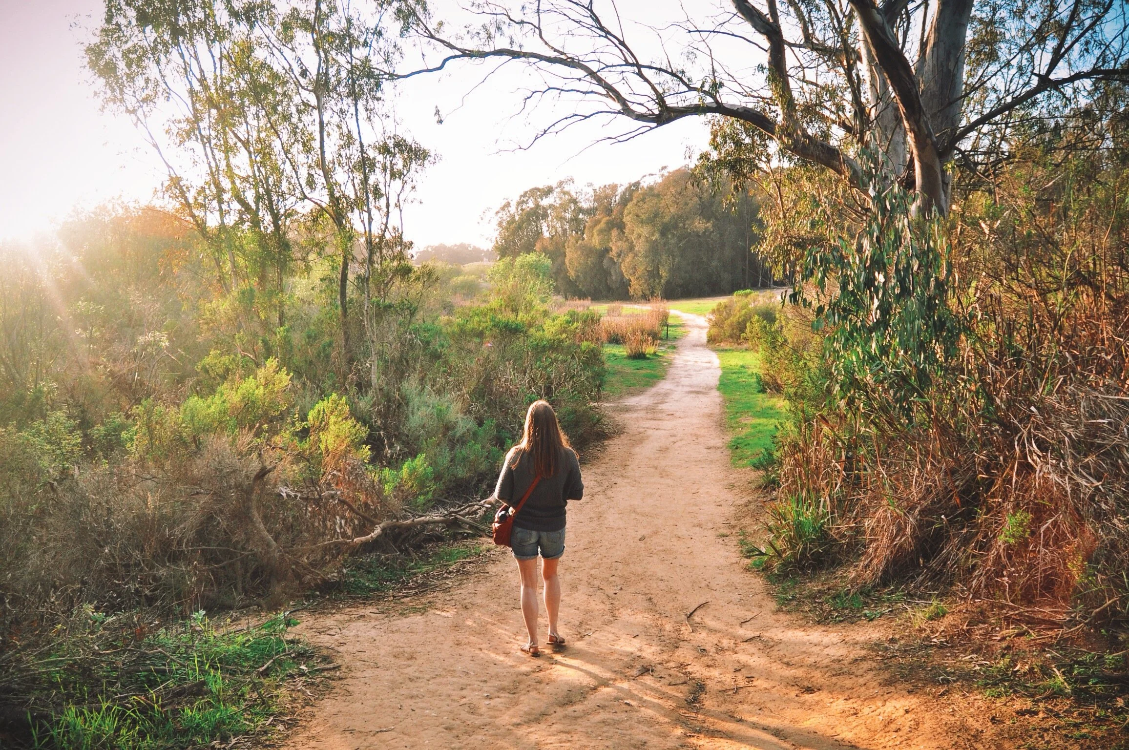 Leave It All On The Road