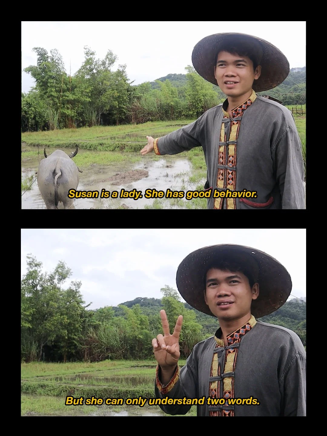 Rice Planting Recap