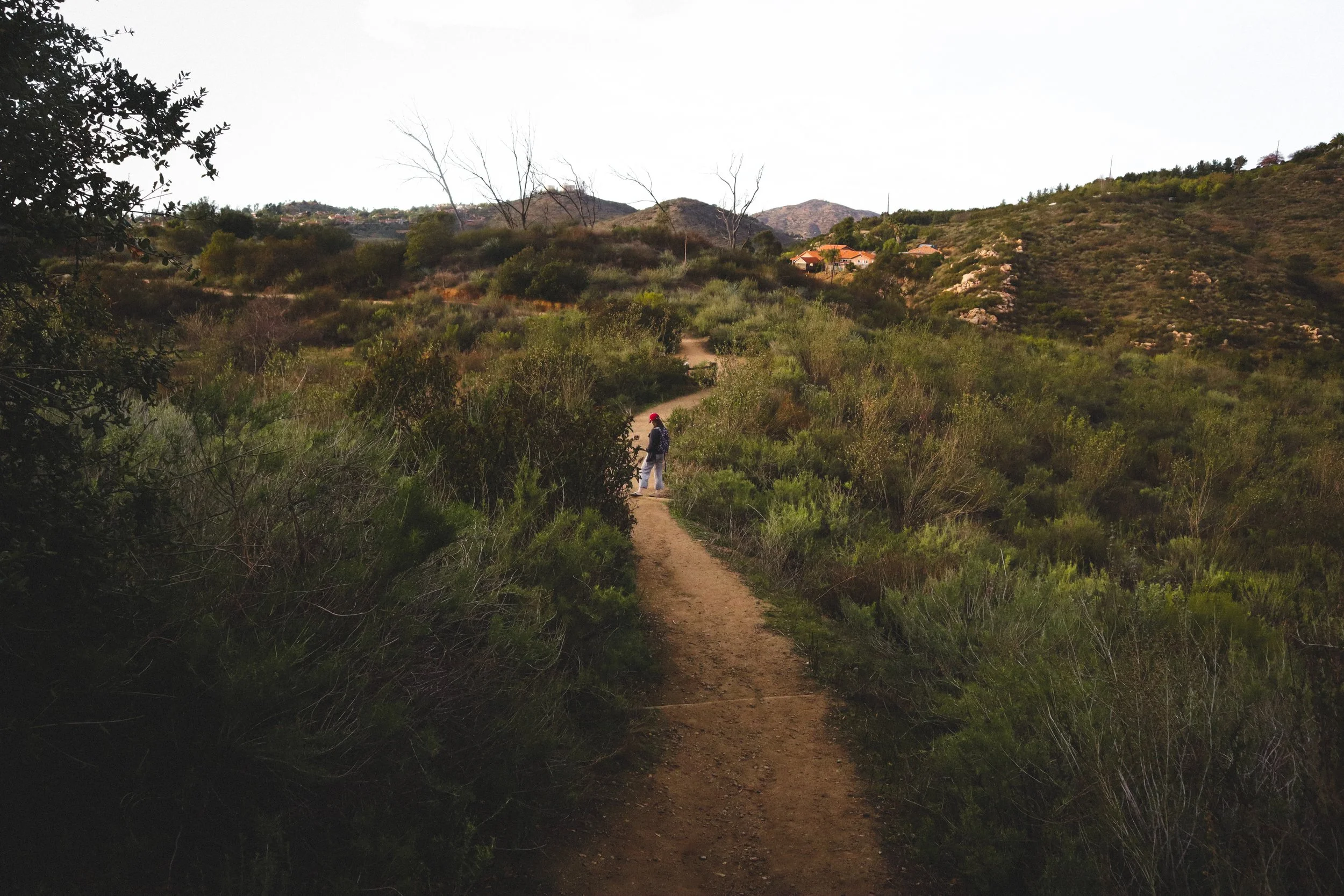 The Journey is Full of Switchbacks