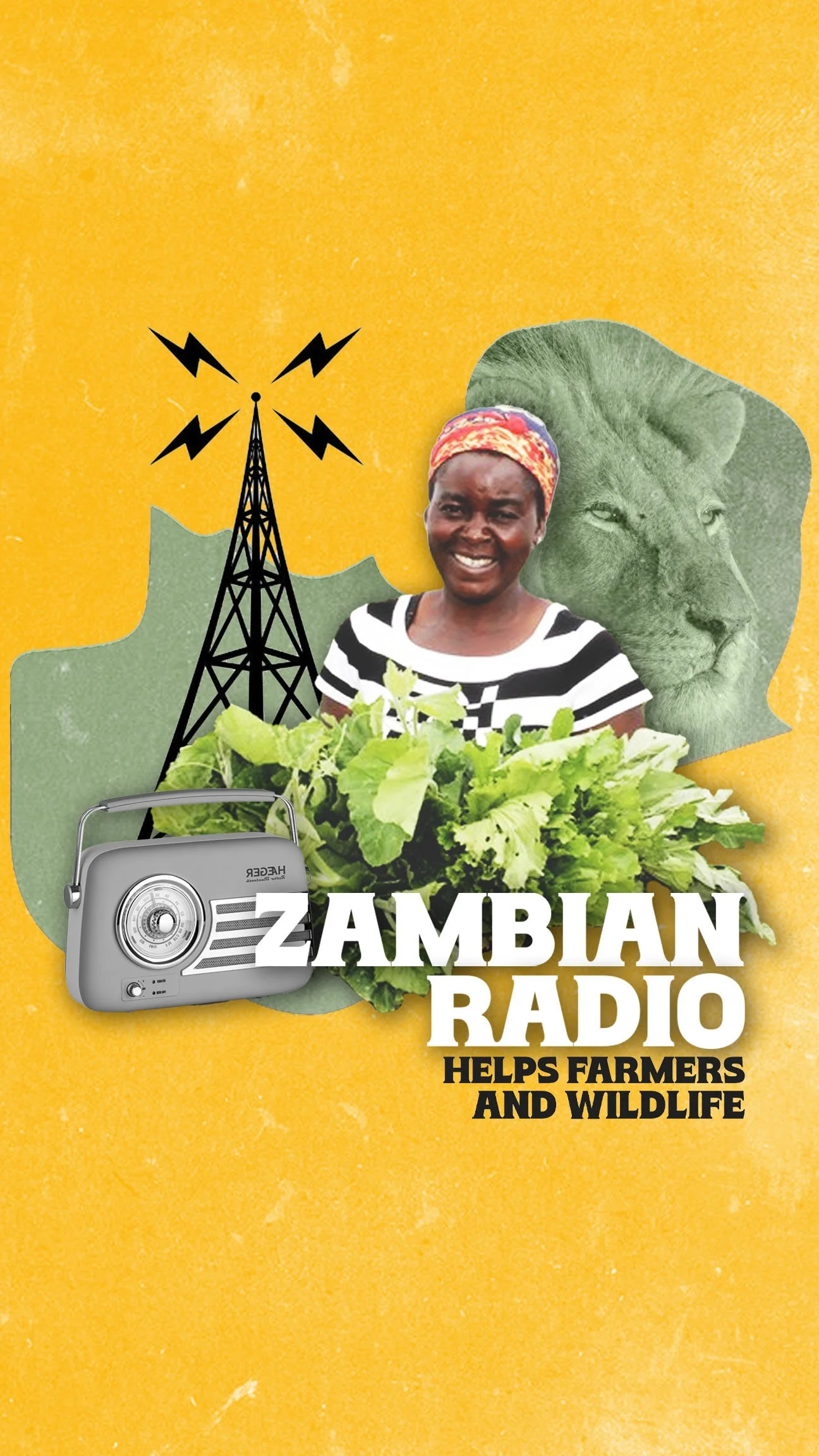 Zambian Radio Protects Wildlife