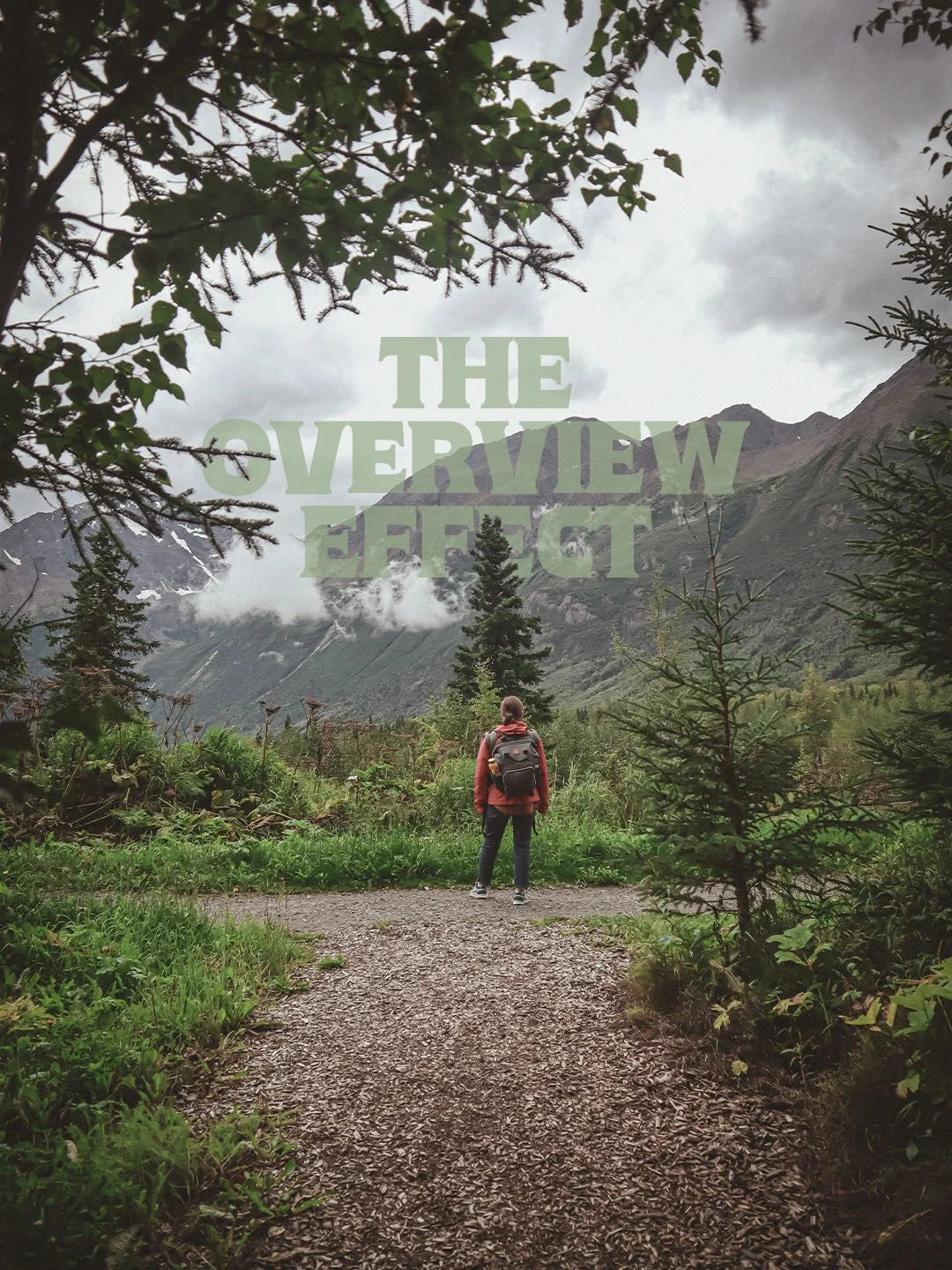 Stoking the Overview Effect 1.jpg