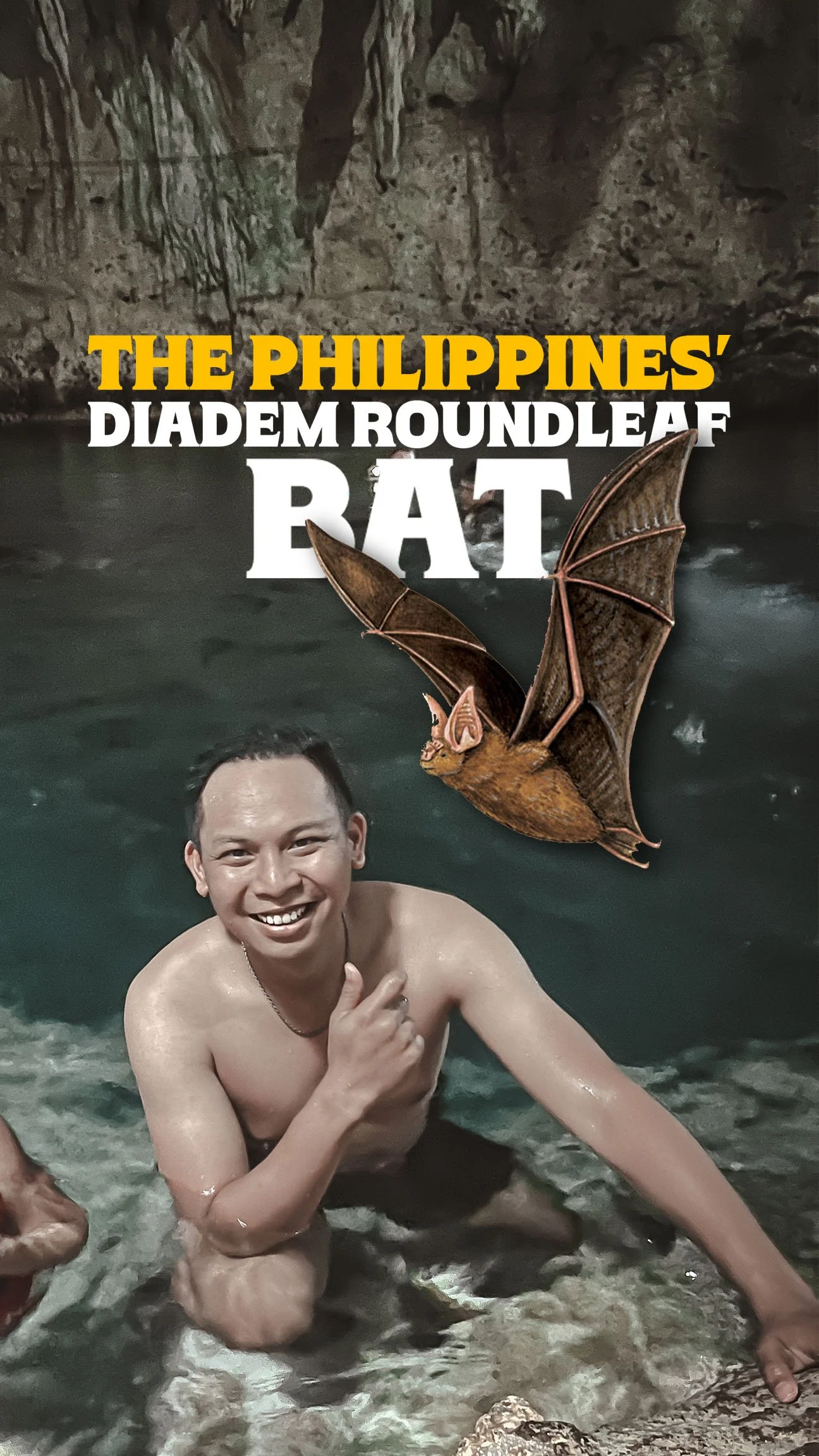 The Philippines' Diadem Roundleaf Bat