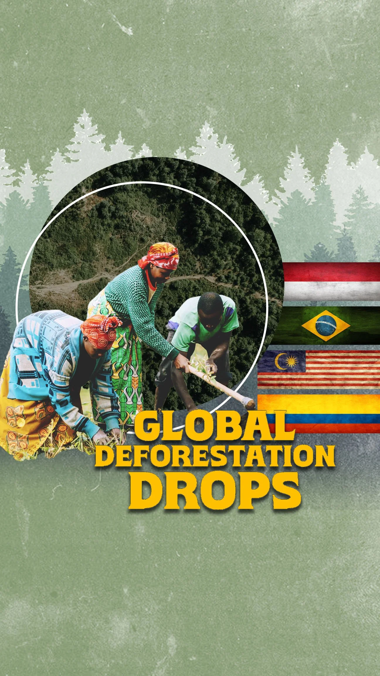 CVV - Deforestation Drops.jpg