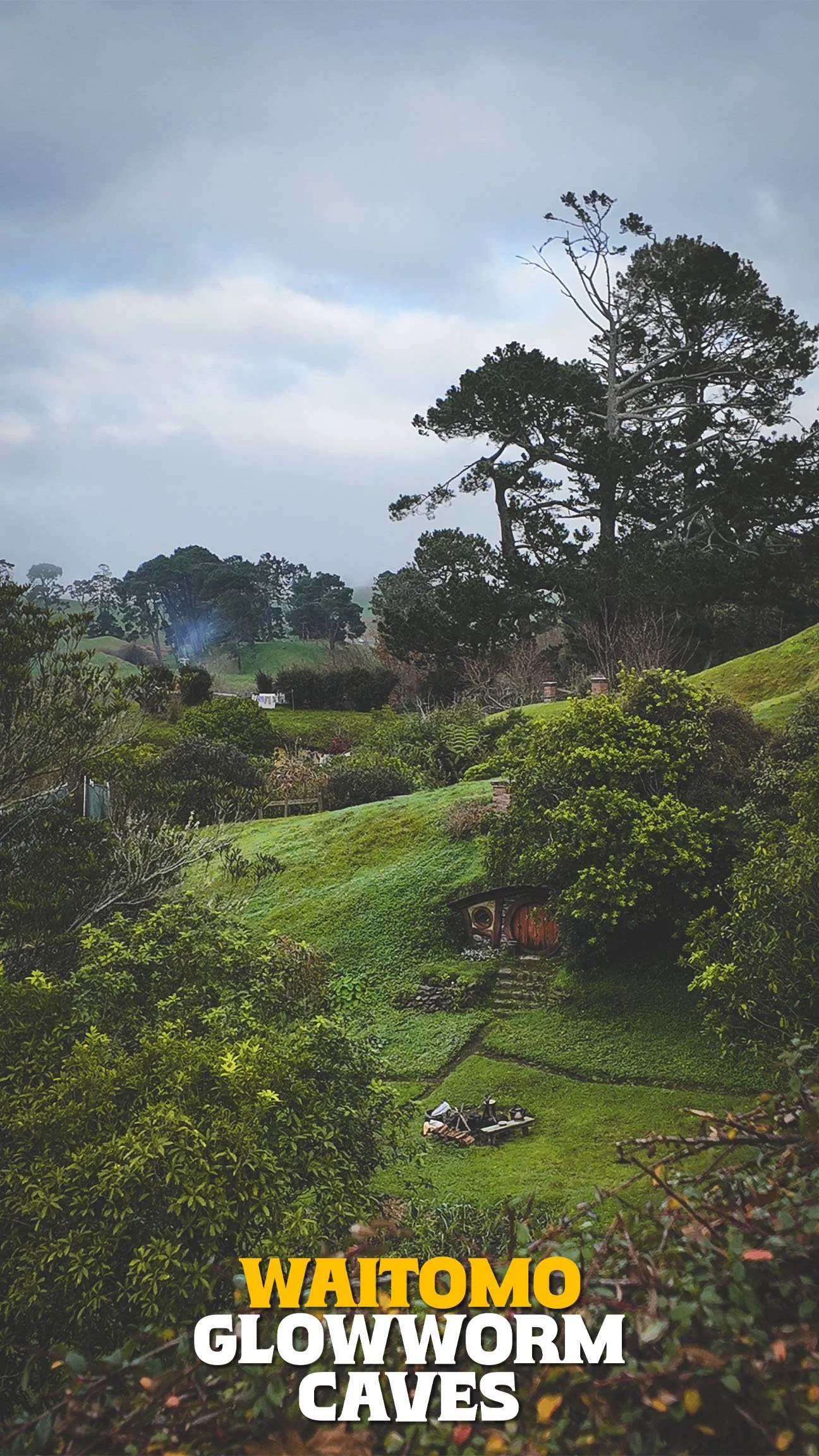 Waitomo Glowworm Caves