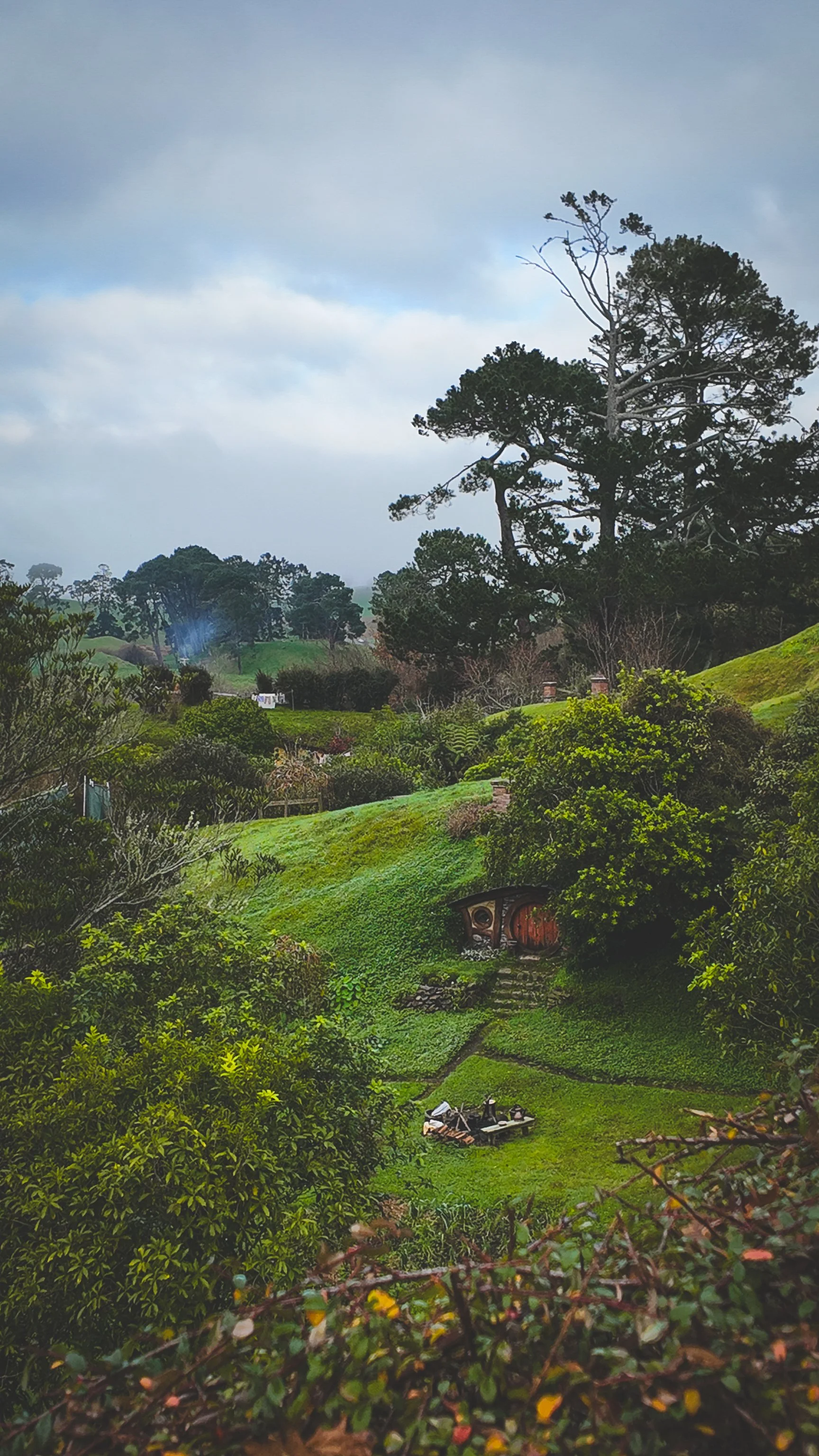 Waitomo Glowworm Caves