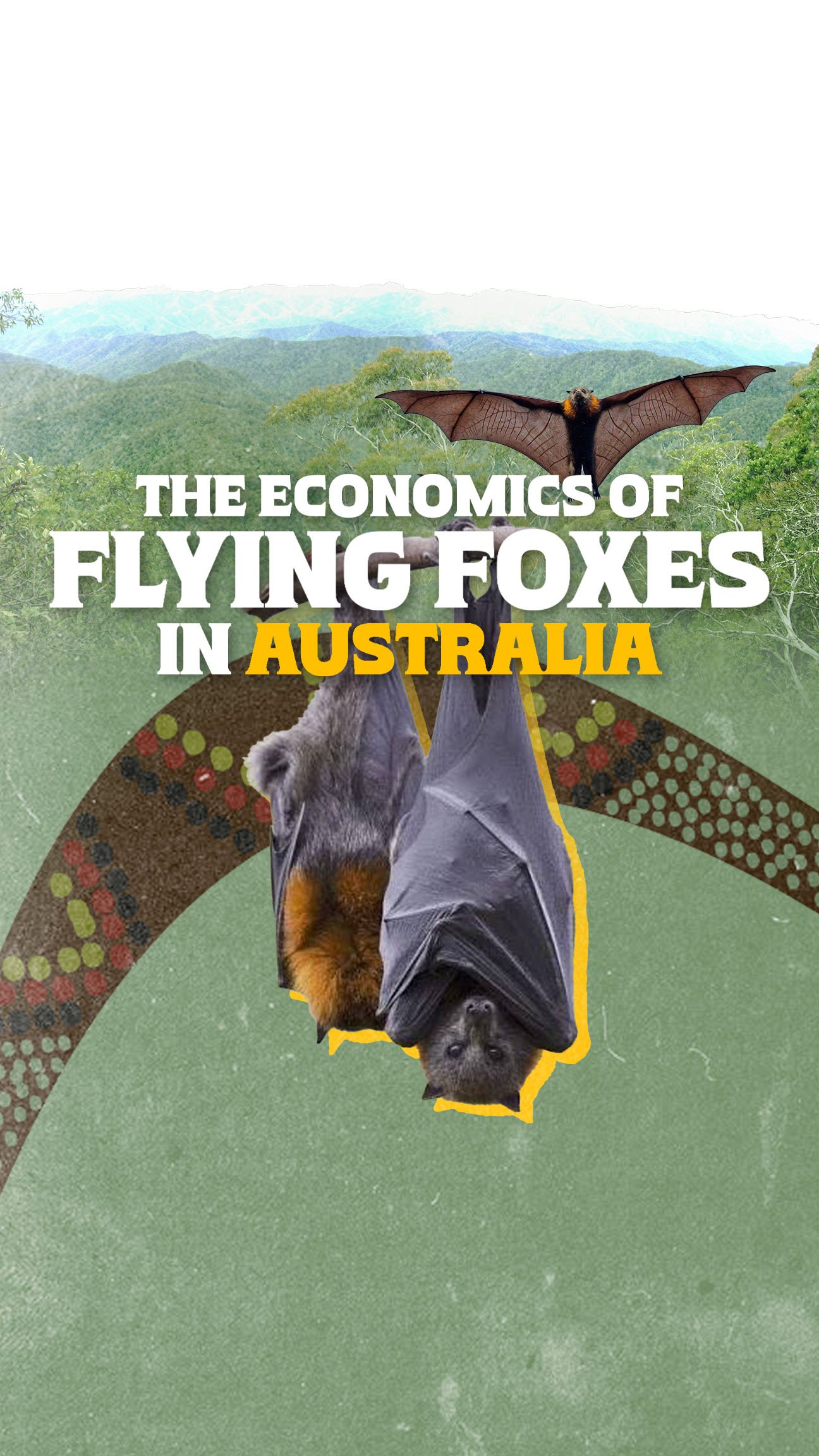 Australia's Flying Foxes