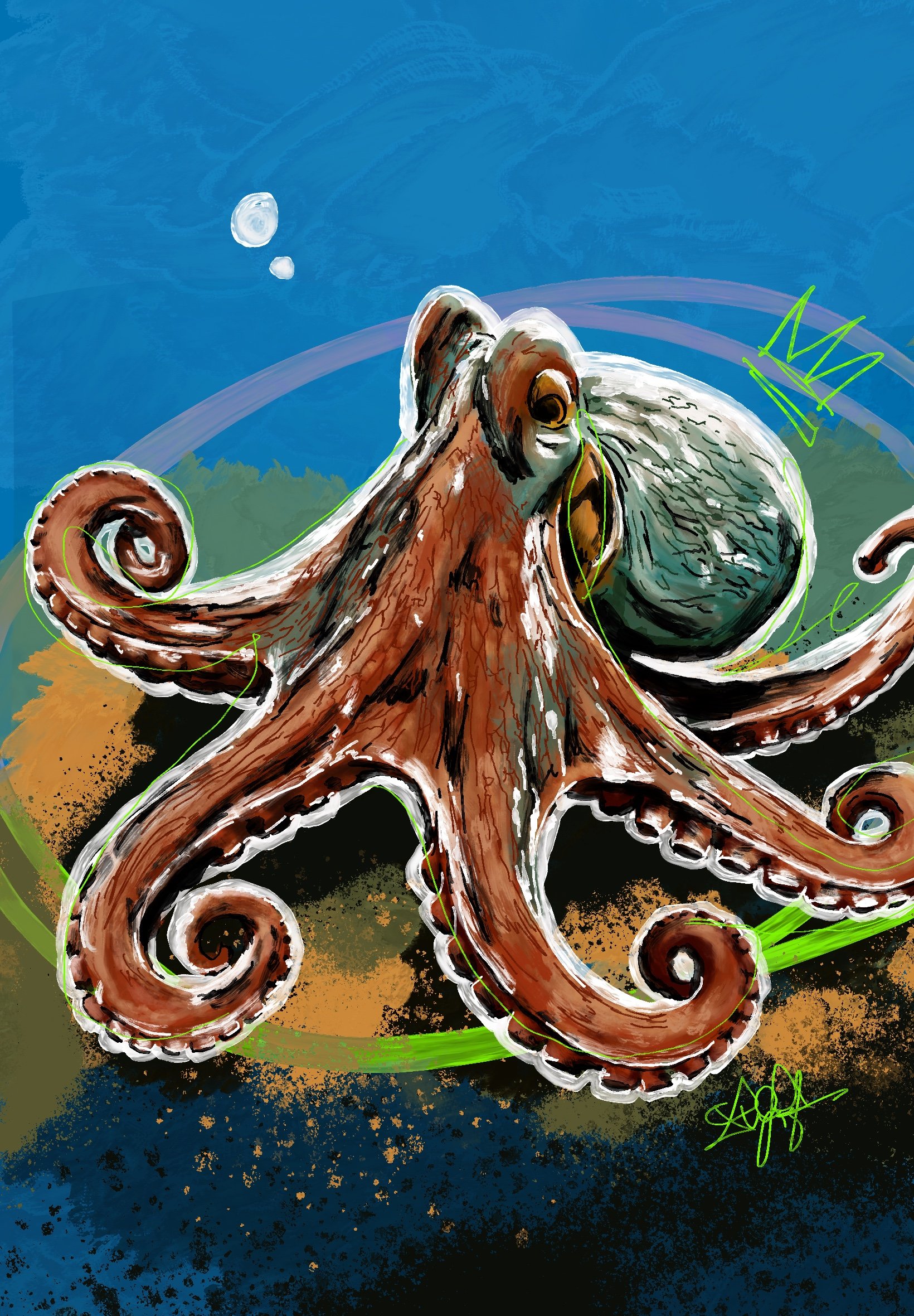 Octopus