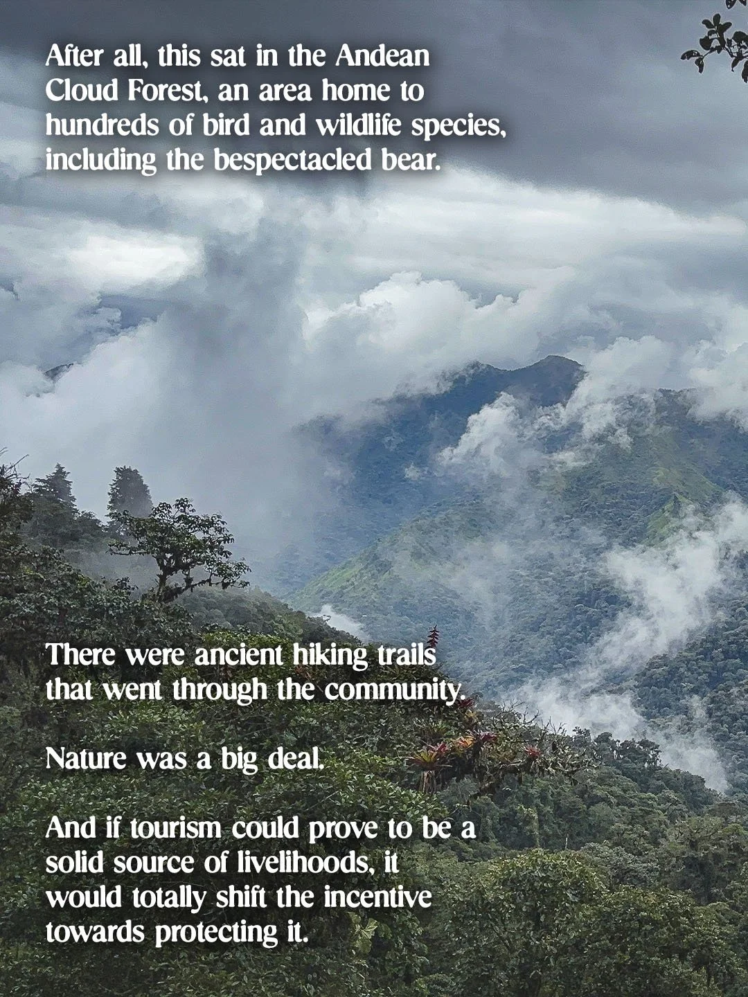 Adventure in Ecuador 3.jpg