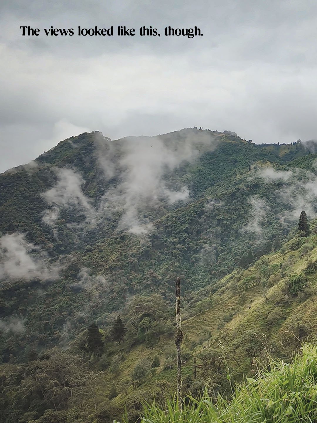 Adventure in Ecuador 12.jpg