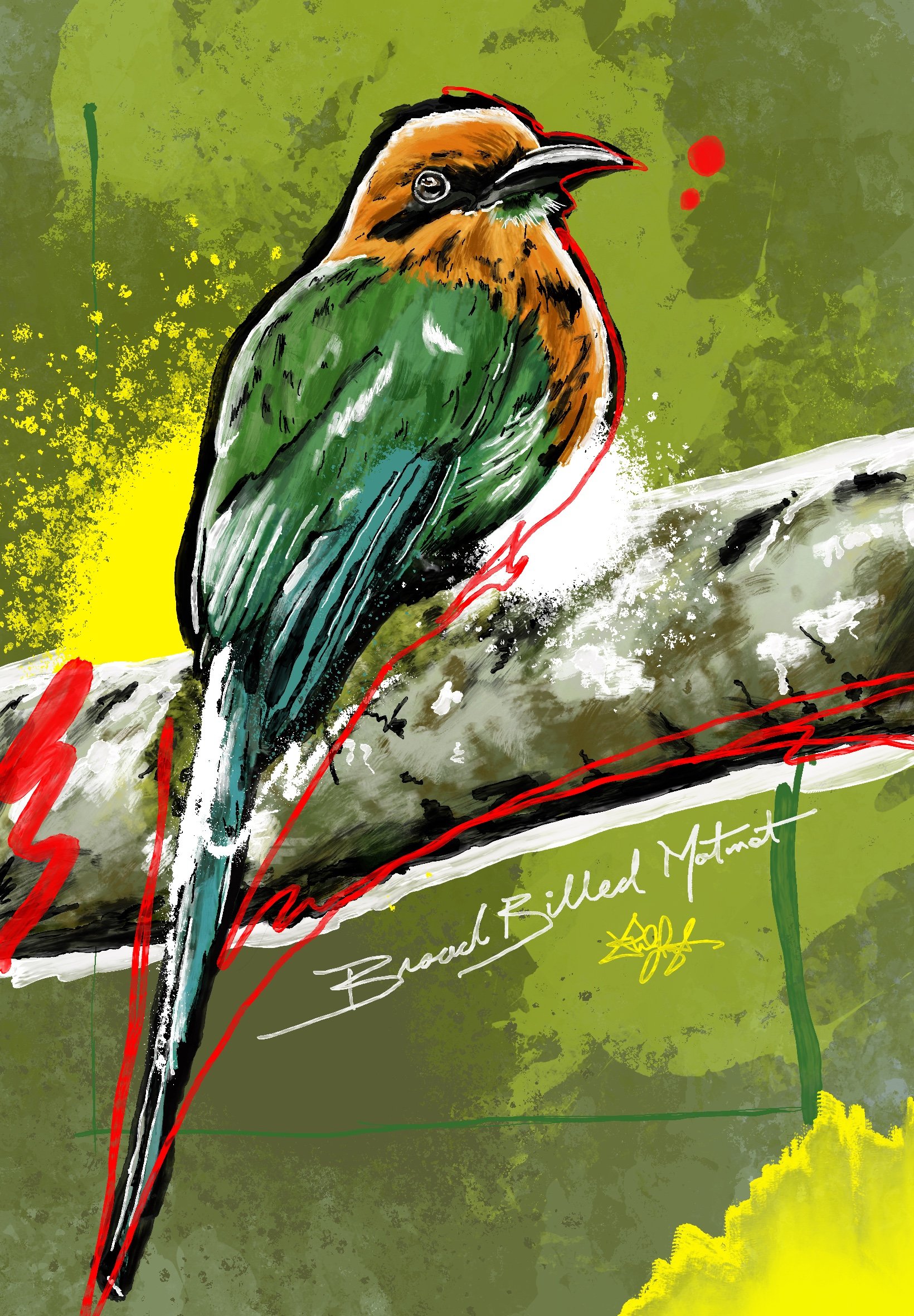 312 Broad Billed Motmot.JPG