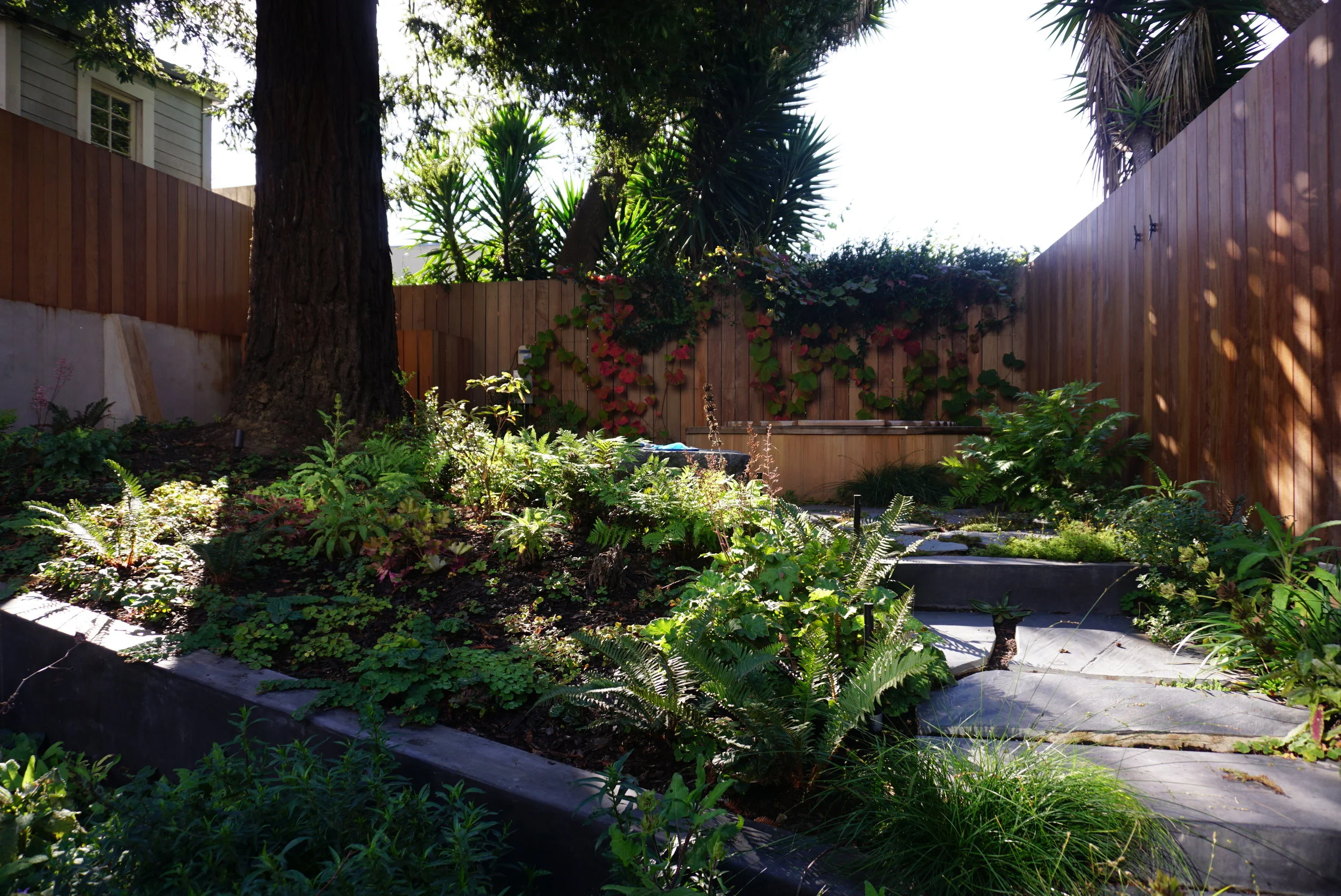 DSC01556 (1).JPG