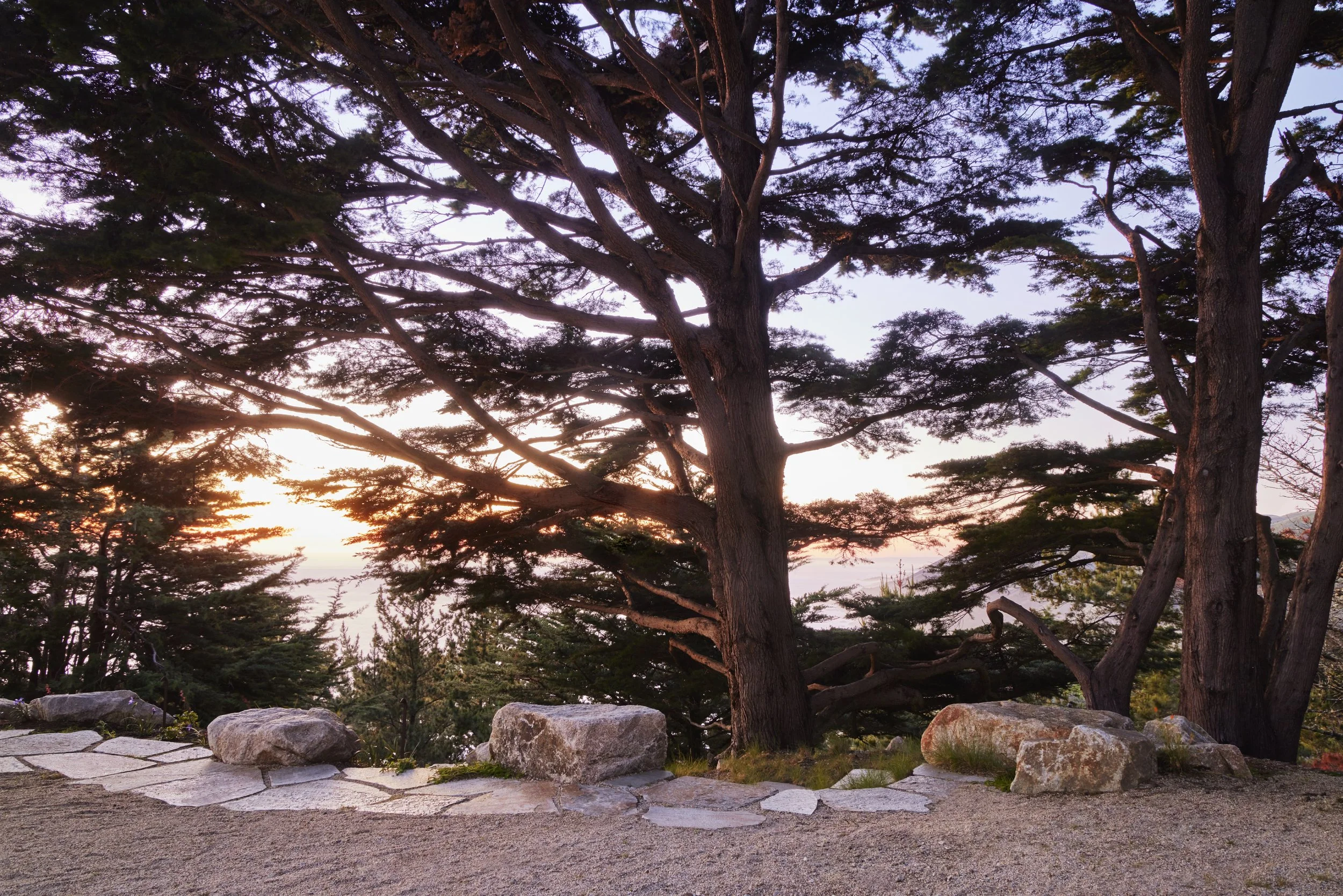  Landscape Architect 