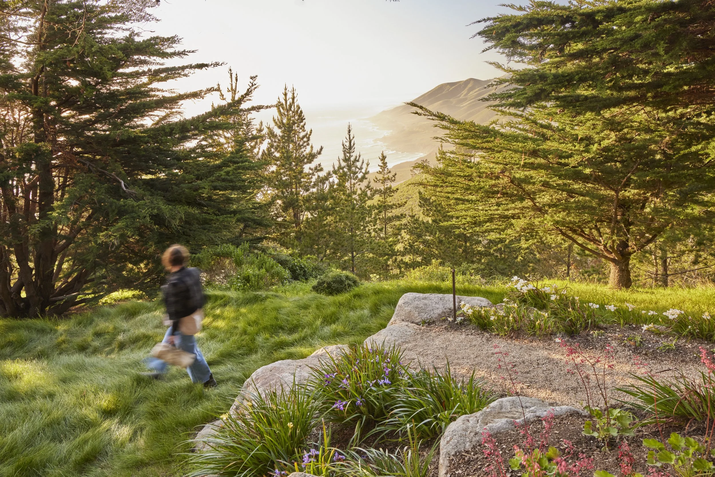 bigsur2405-165.jpg