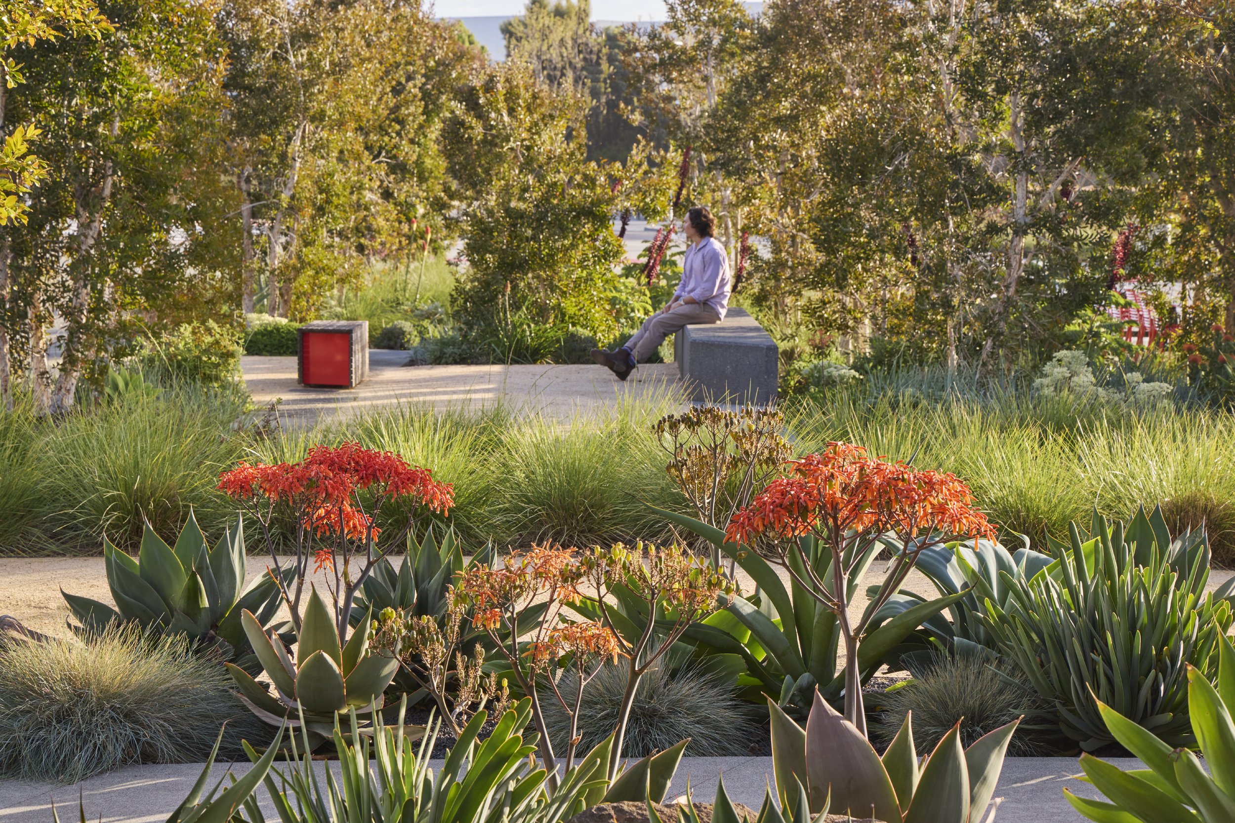 BAY AREA PARK
