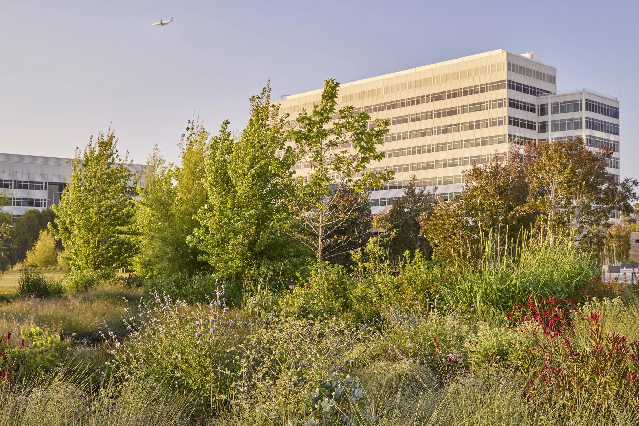lifescience2404-452.jpg