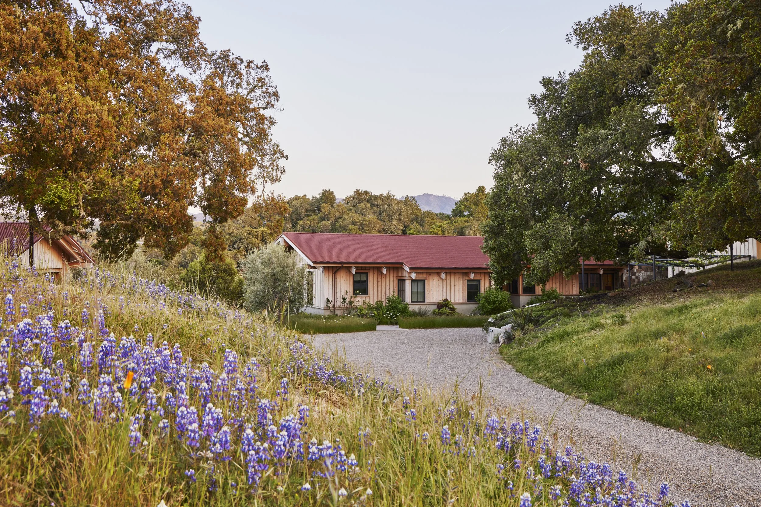 ohlone2405-463.jpg