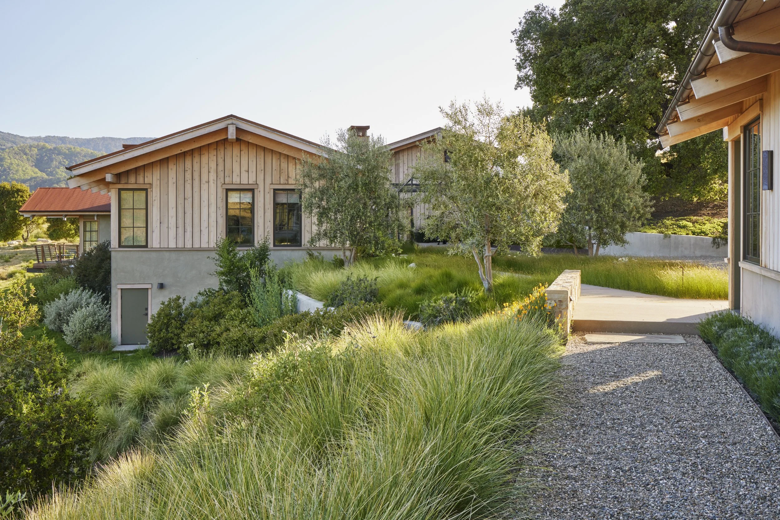 ohlone2405-202.jpg