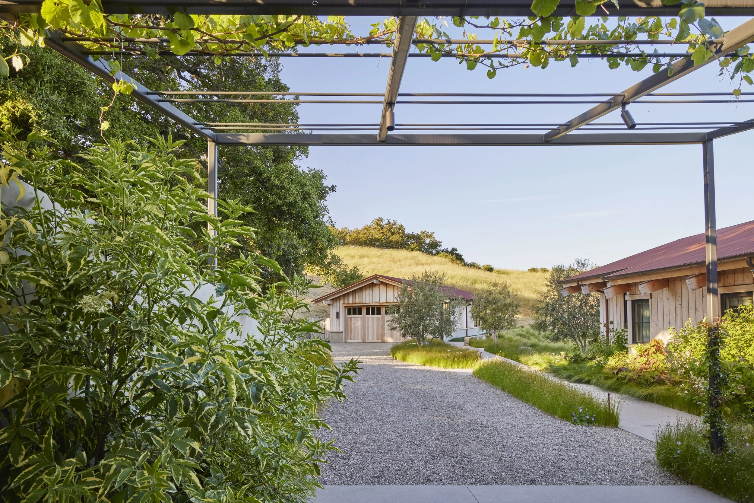 ohlone2405-322.jpg