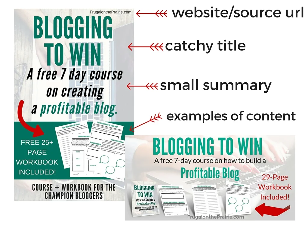 Want to get subscribers but don't know where to start? I increased my subscribers by 351% in only 90 days by promoting my incentives on social media!