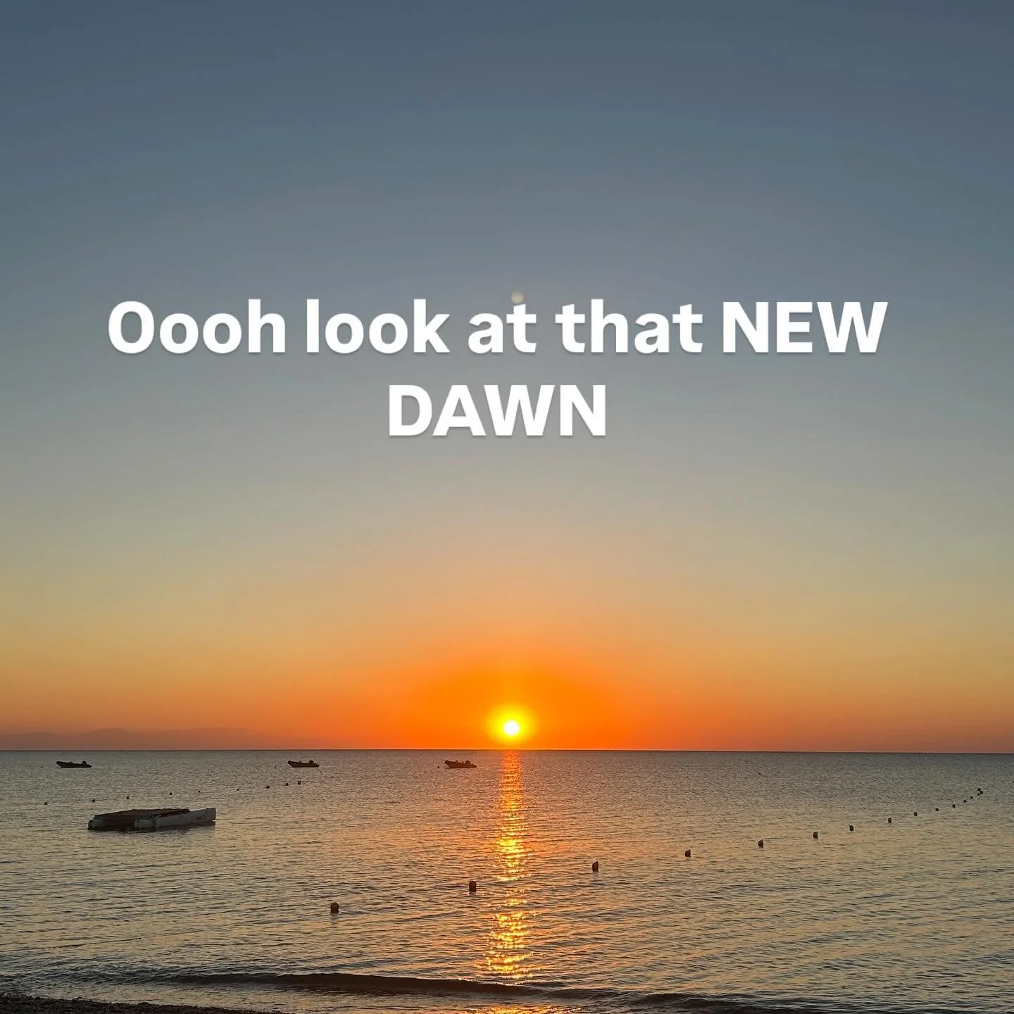 🥰HOPE🥰
&bull;
Well that was a solid election with people caring for humans and their actual needs, I&rsquo;d say despite affiliation. How f****ing refreshing!! Humanism is for everyone!!
&bull;
Enjoy the feeling 🎉✨✨✨😎
&bull;
#lfg
#turnthevolumeup