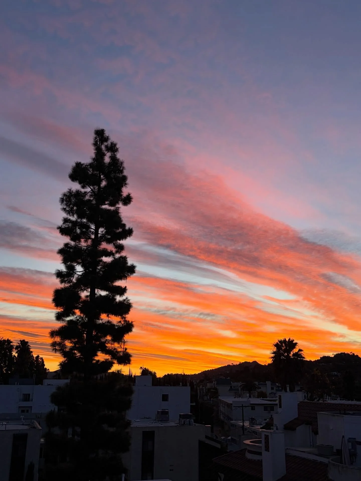 ☀️NEW DAY☀️
&bull;
Every day is a new day to begin again. In the reflection of the turbulence and hurricanes around you, try to pause  and focus on something that is here, right now that gives you a speck of joy and beauty.
&bull;
I know that doesn&r