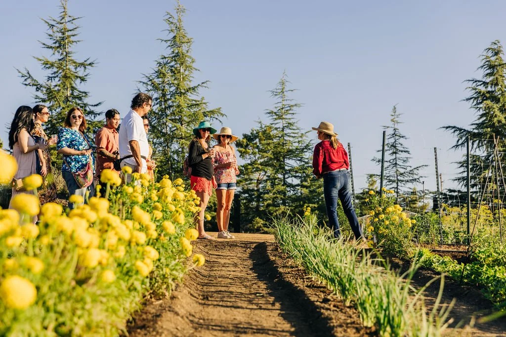 Sunset Blooms & Gnocchi Workshop: A One Day Garden Share