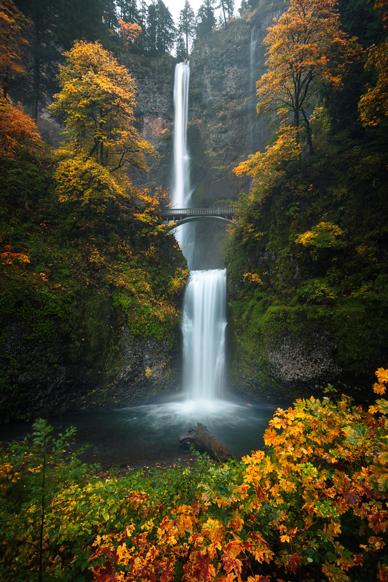 MultnomahFallsFall-web.jpg