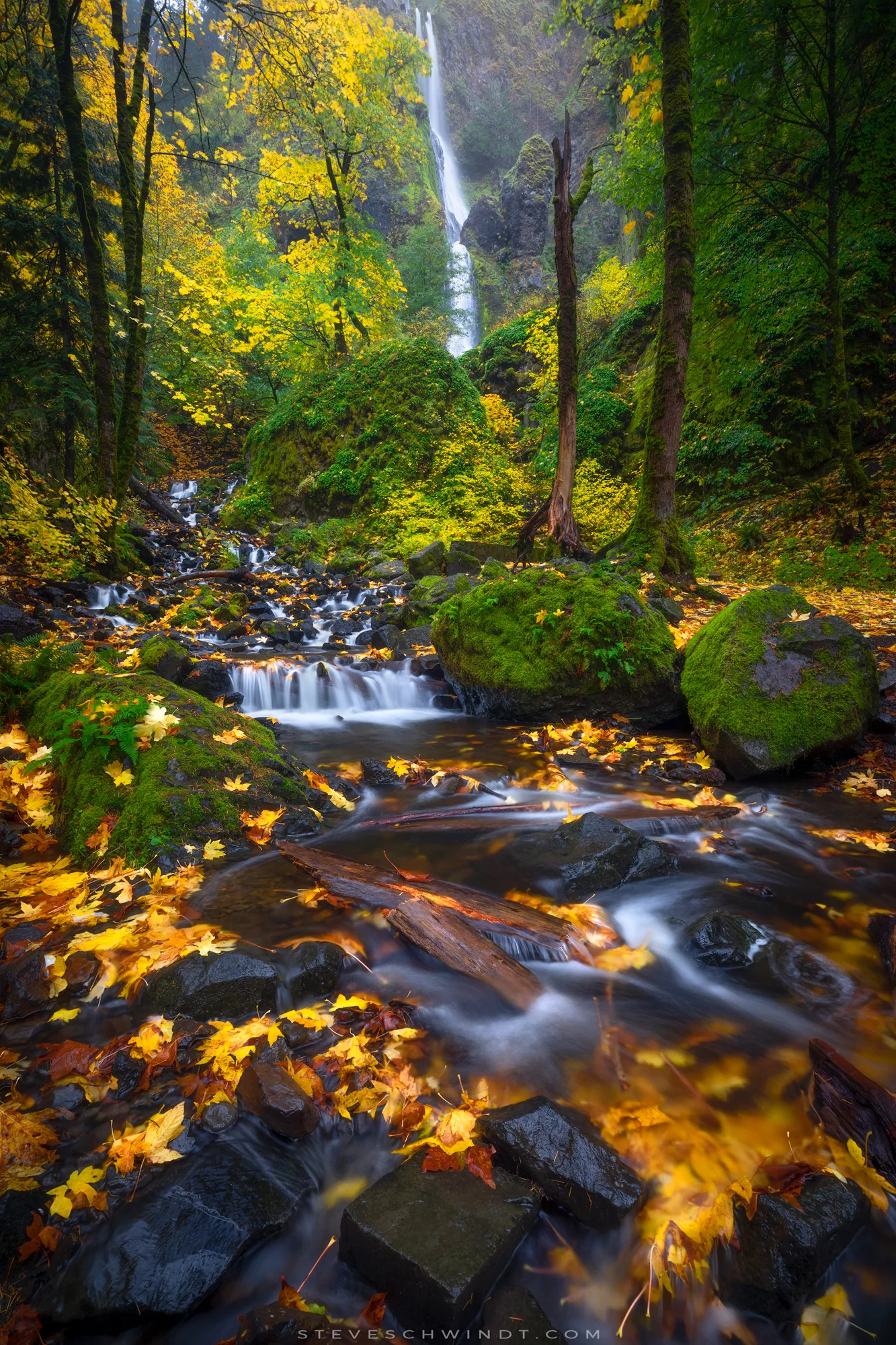 StarvationCreekFall2018-1-2000.jpg