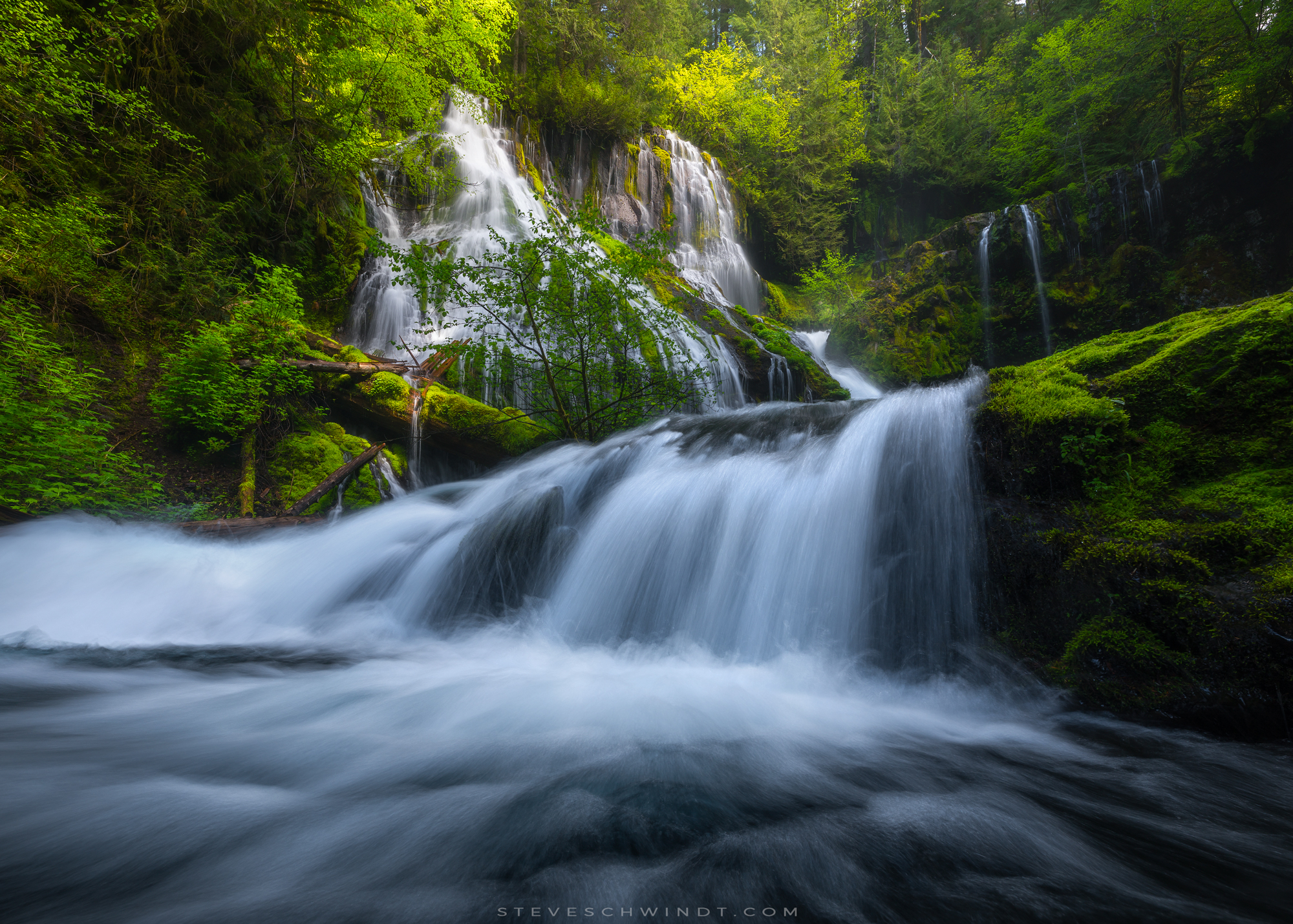 PantherCreekFallsSpring2018-1-2000.jpg