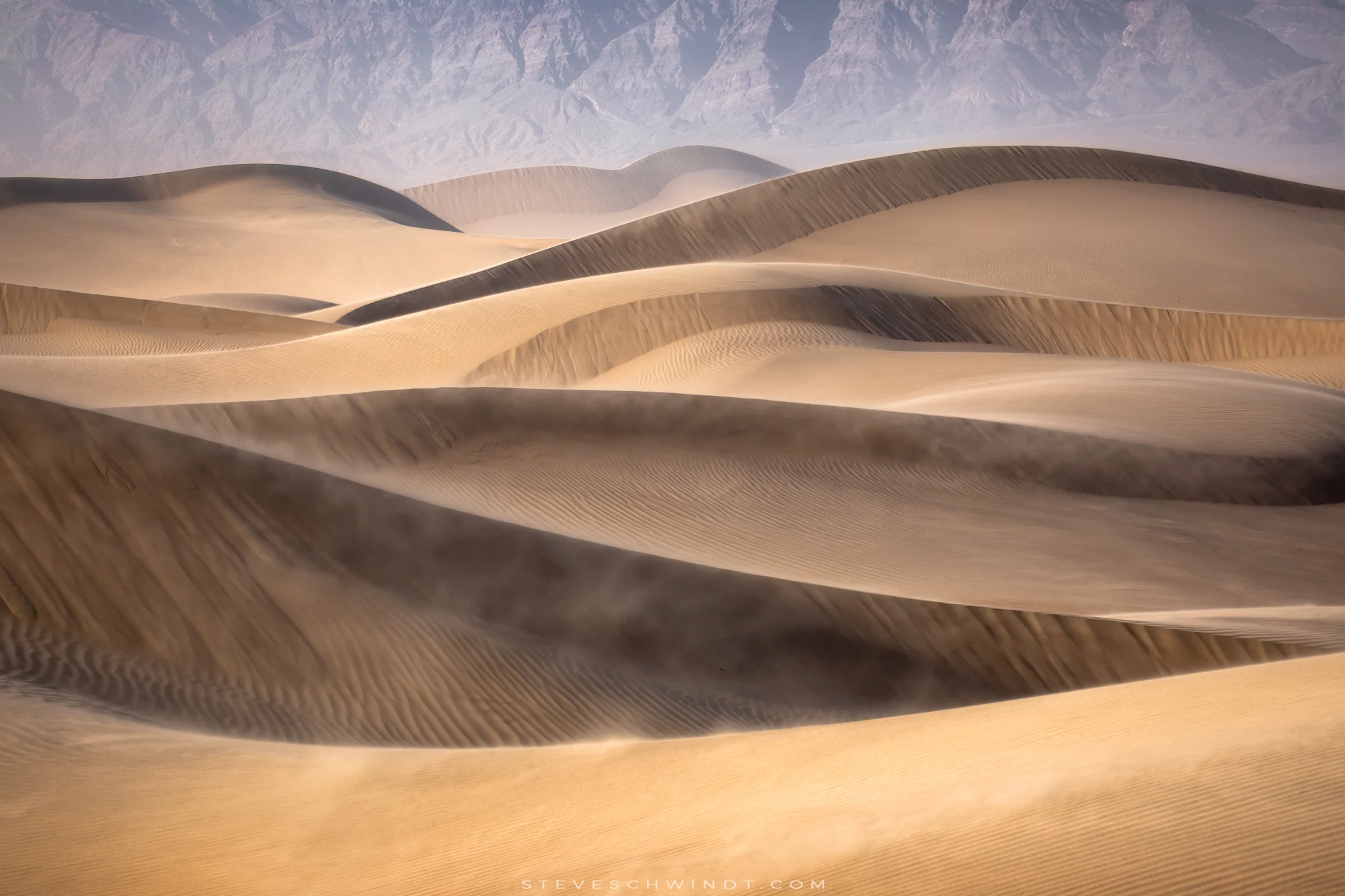 MesquiteSandDunes2-2000.jpg