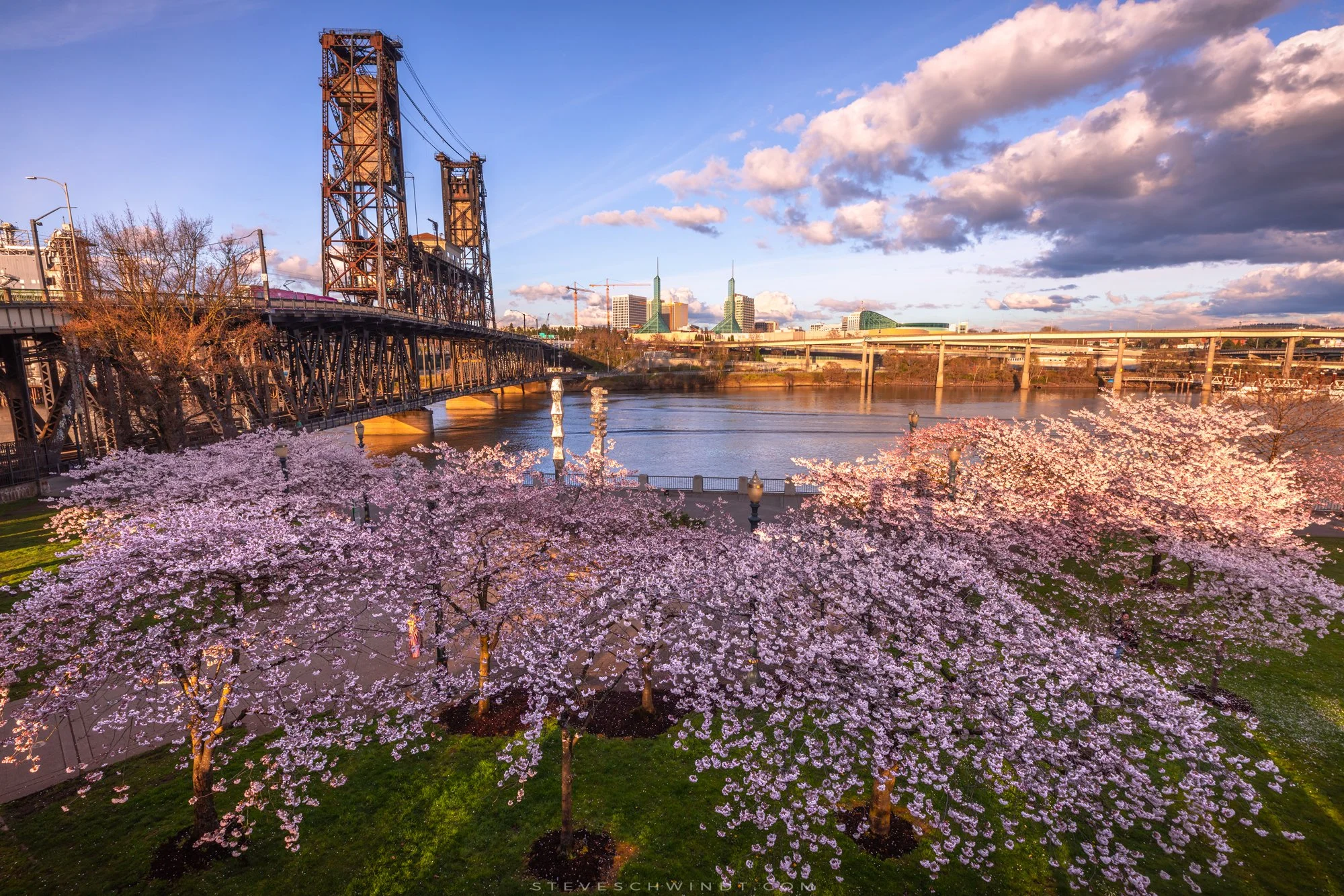 PortlandWaterfrontBlossomsSunset-2000.jpg