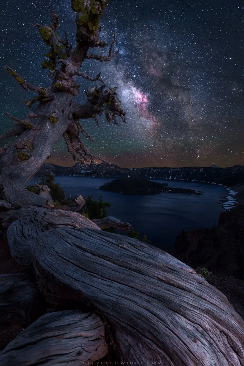 CraterLakeTreeStars-web.jpg