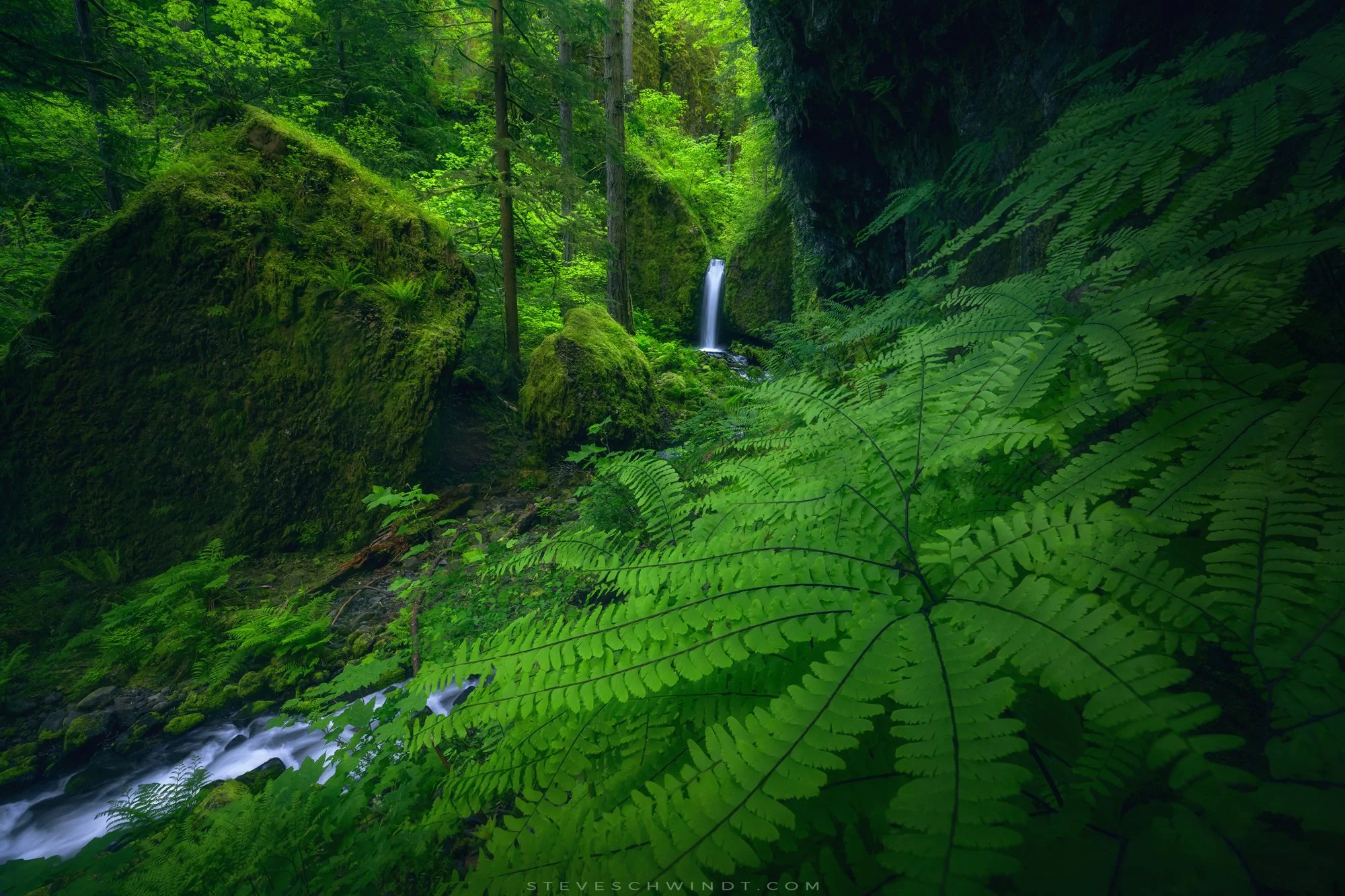 MossyGrottFallsGreenParadise-2000.jpg