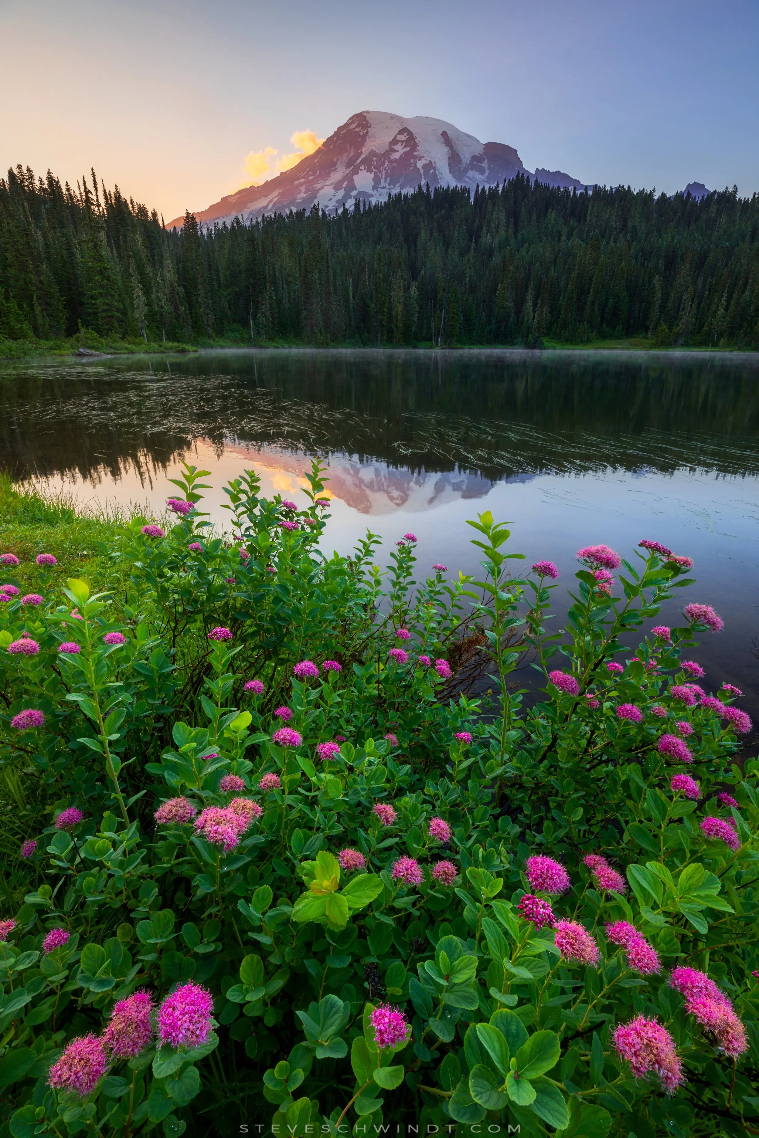 ReflectionLakesSpirea2018-2000.jpg