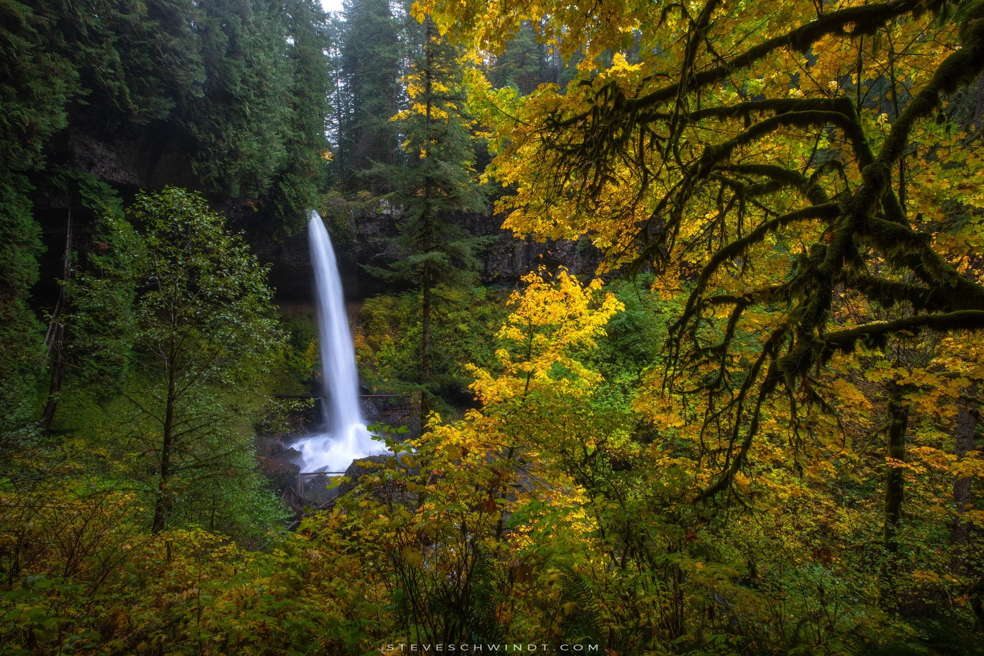 SilverFallsSP-4-2000.jpg