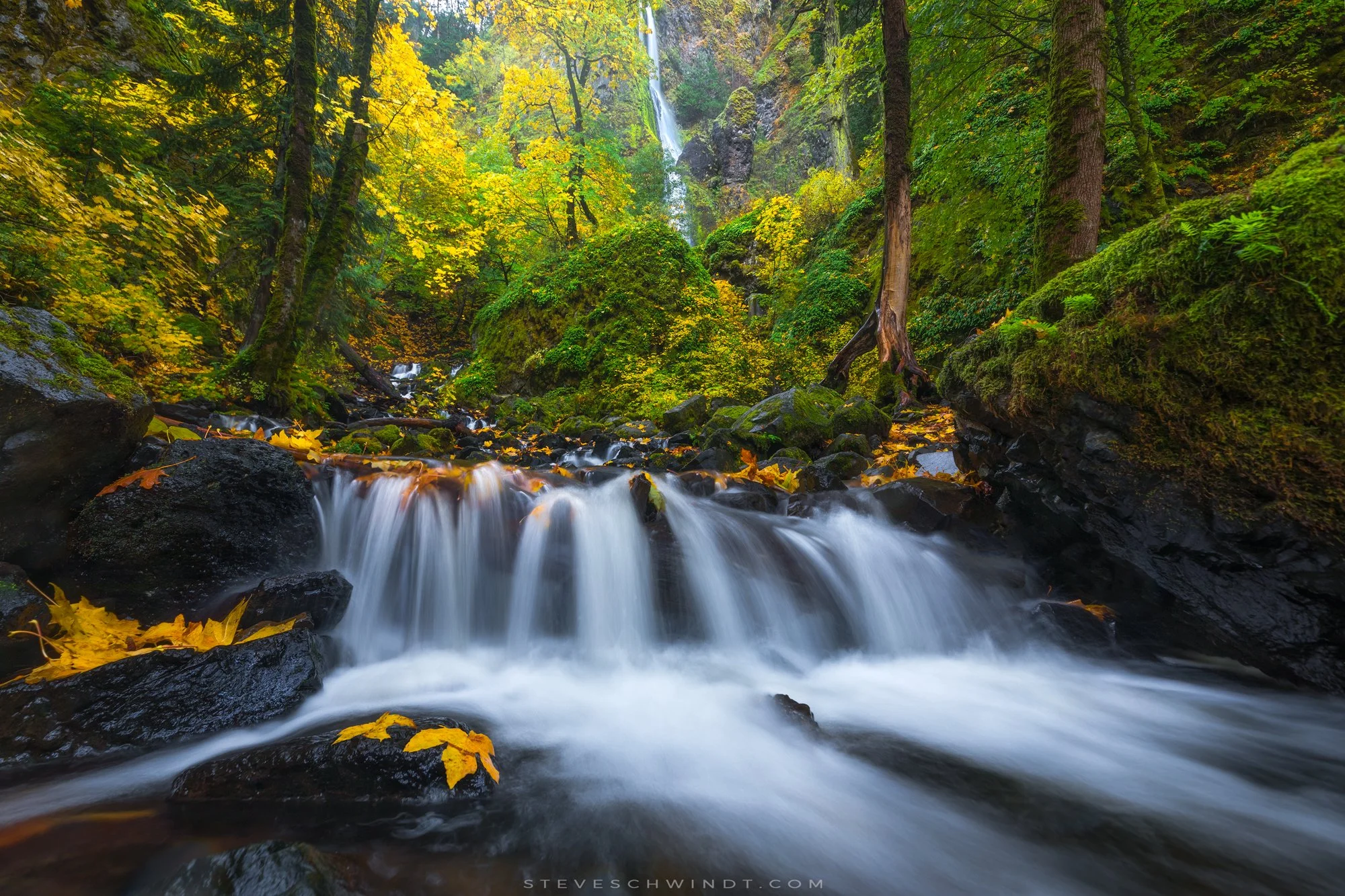 StarvationCreekFalls2018Fall2-2000.jpg