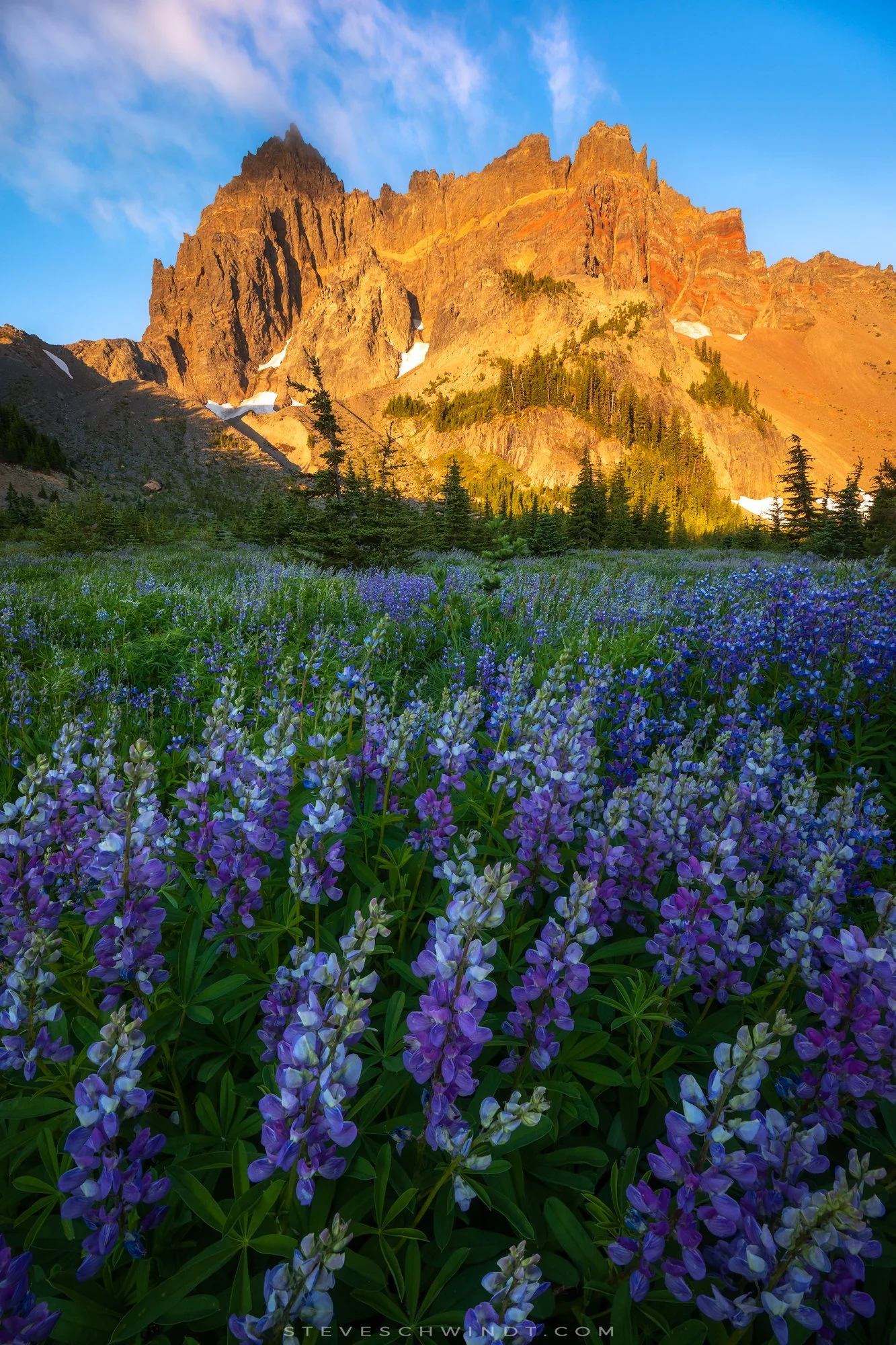 3FJLupin1-2000.jpg