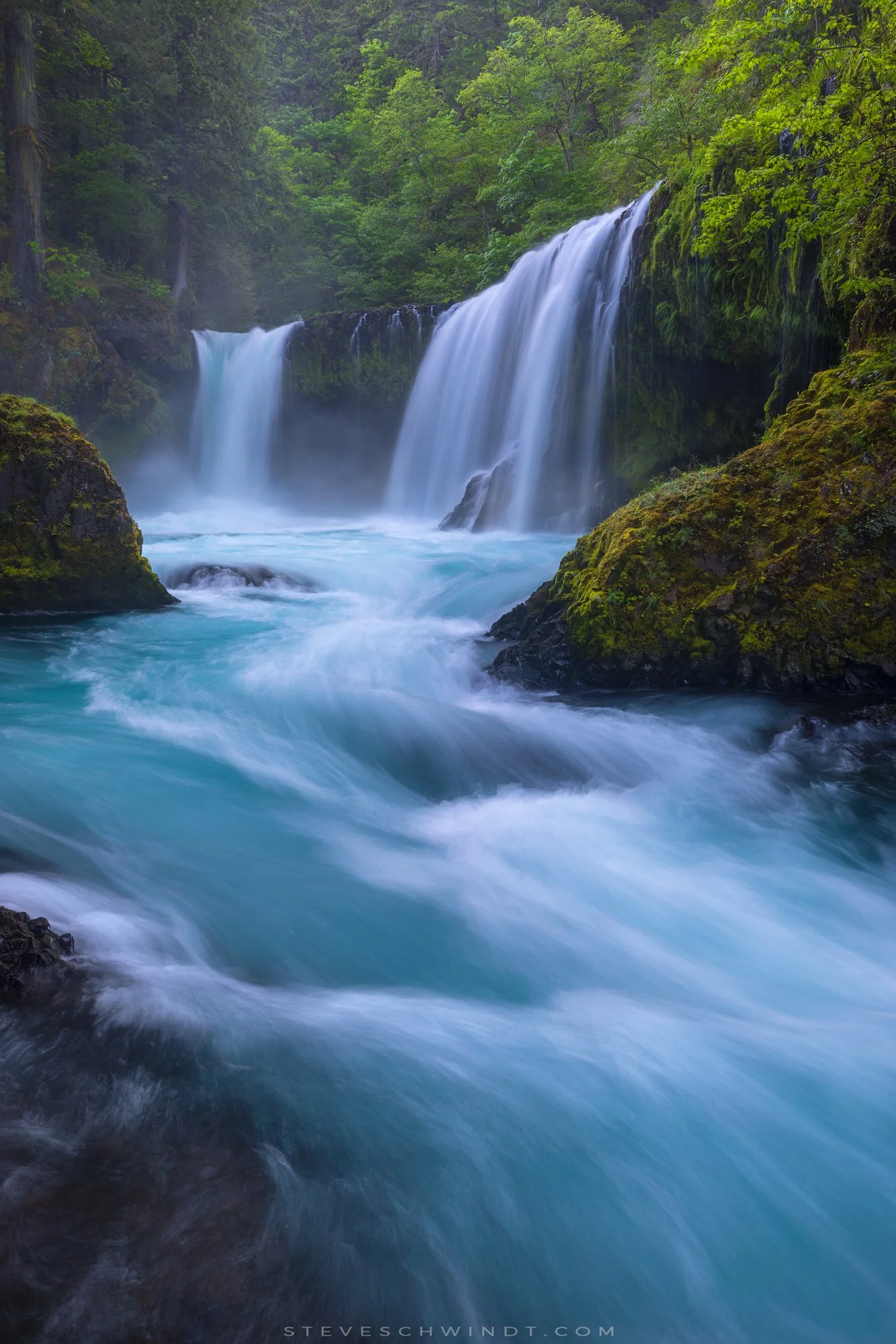SpiritFallsSpring2018-portrait-2000.jpg