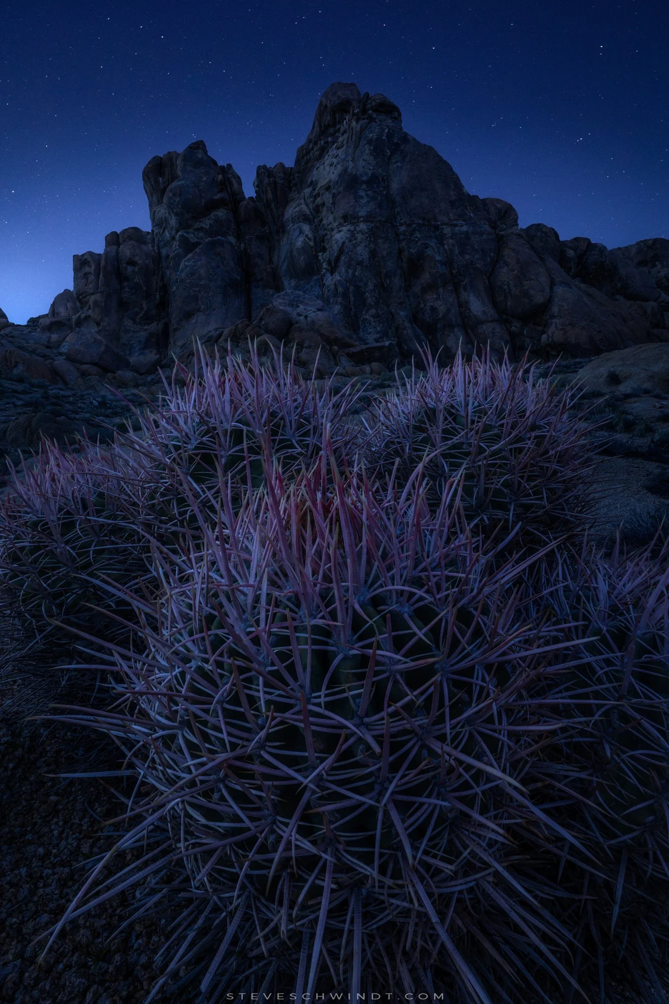 AlabamaHillsBarrelCactusTwilight-2000.jpg