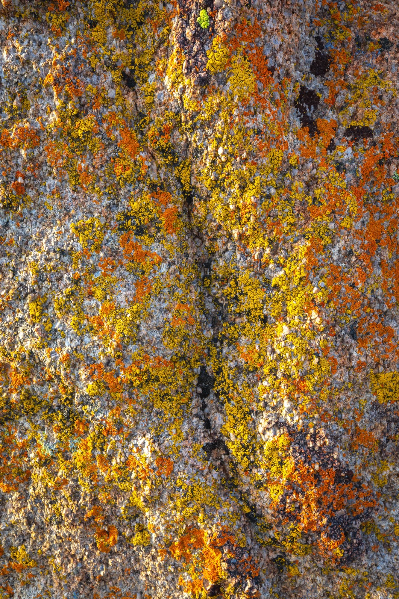 AlabamaHillsLichenRock1-2000.jpg