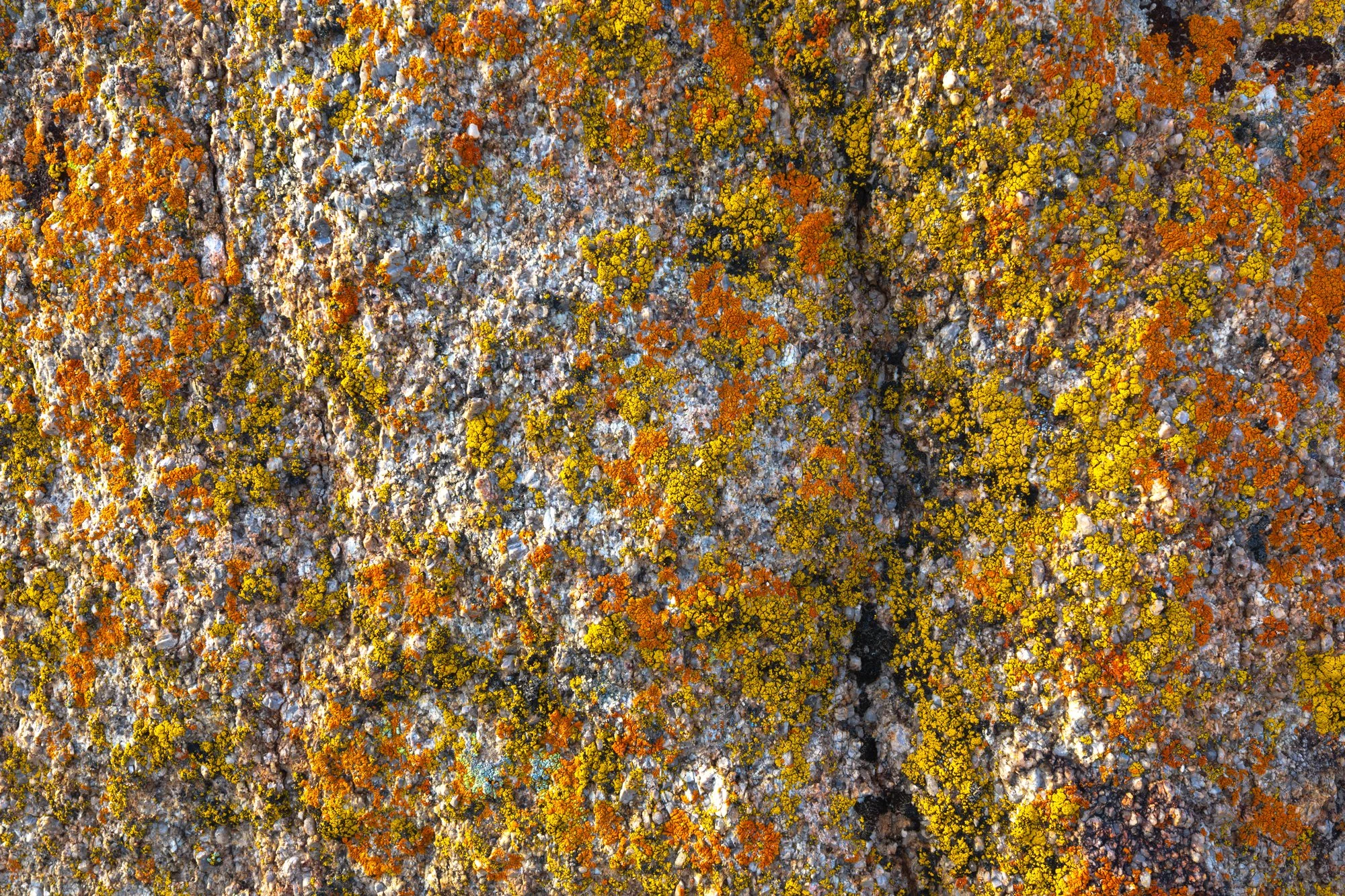 AlabamaHillsLichenRock2-2000.jpg