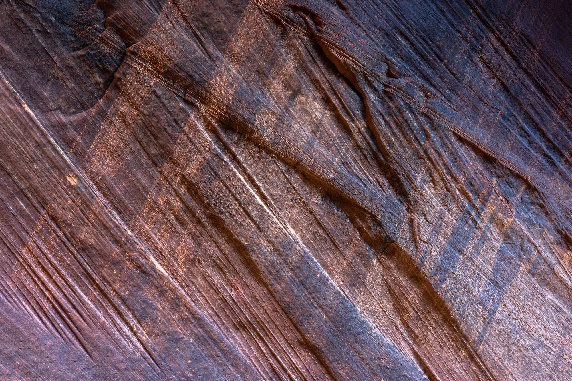 BuckSkinGulchWallPattern-2000.jpg