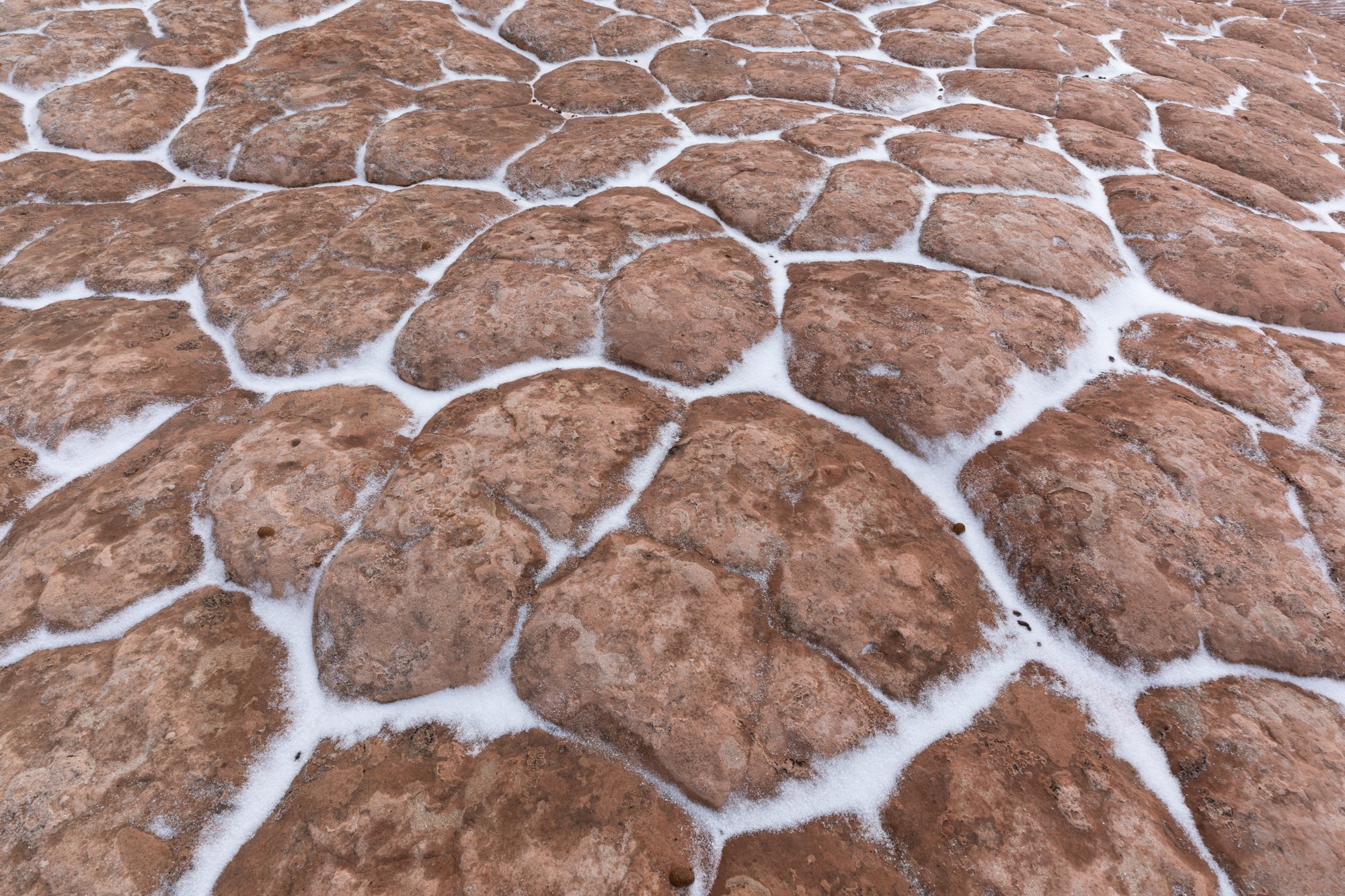 WhitePocketBrainRockSnow-full.jpg