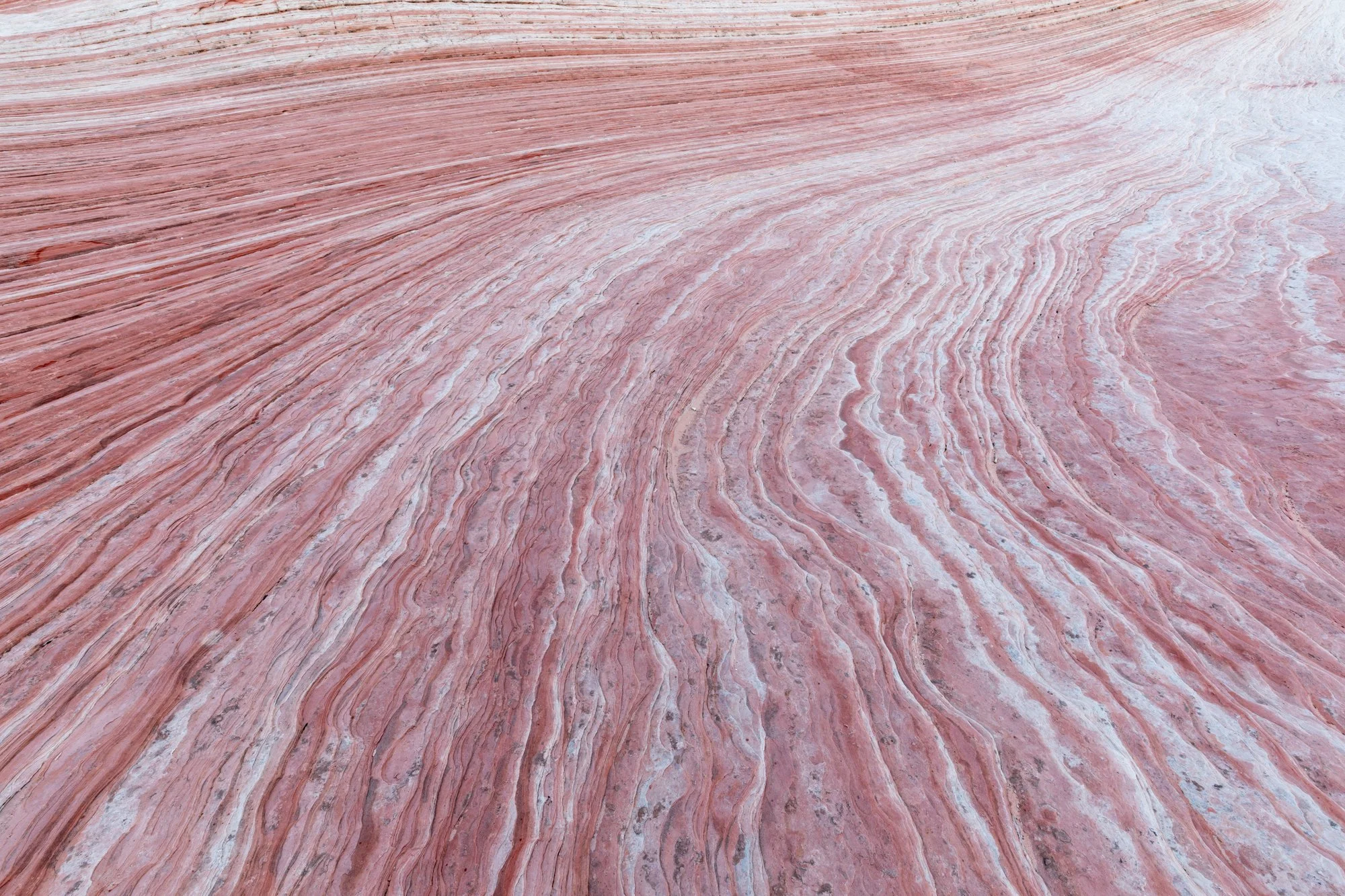 WhitePocketLines3-full.jpg