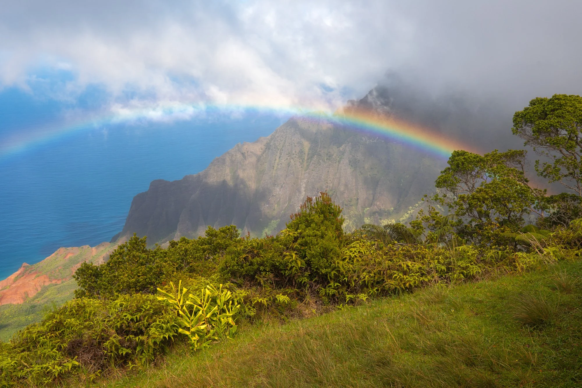 Kauai-KalalauLookout-2.jpg